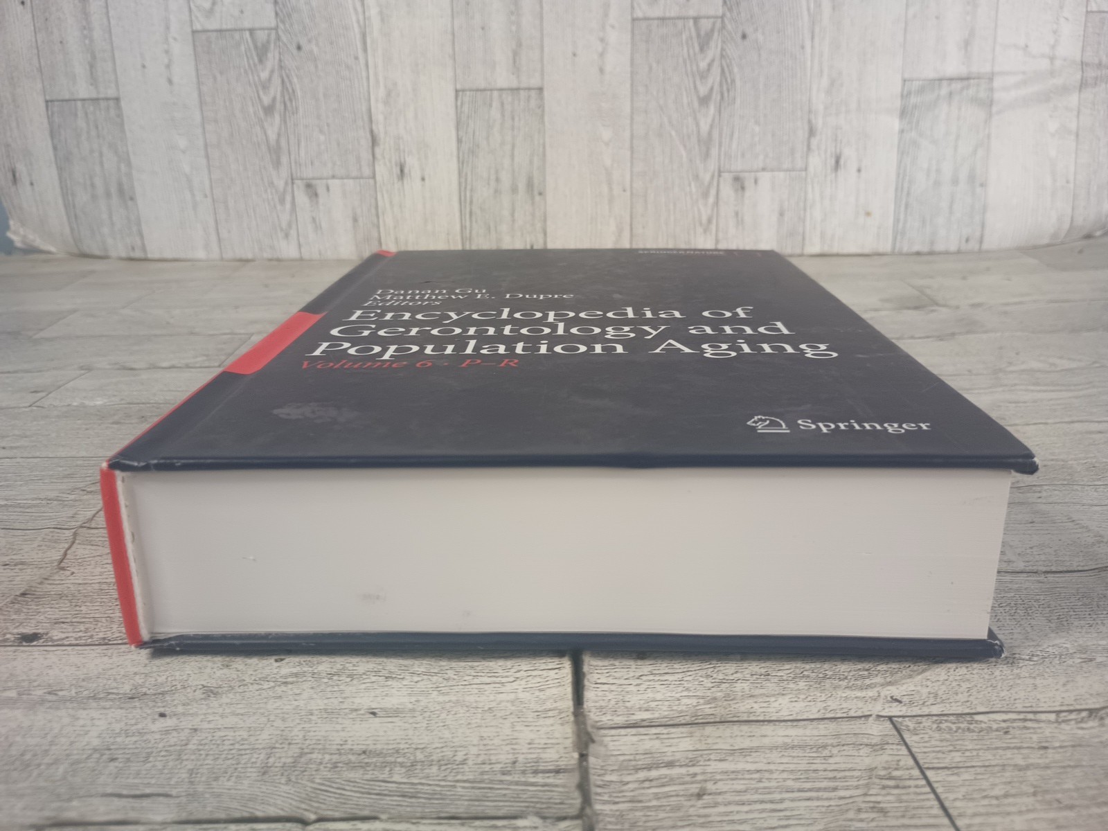 Encyclopedia of Gerontology and Population Aging Volume 6: P-R English Hardcover