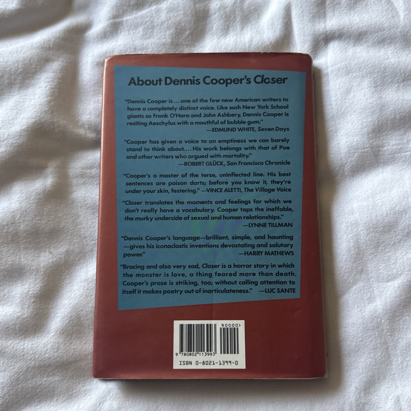 Frisk : A Novel by Dennis Cooper (1991, Hardcover) 1st Edition Weidenfeld Grove