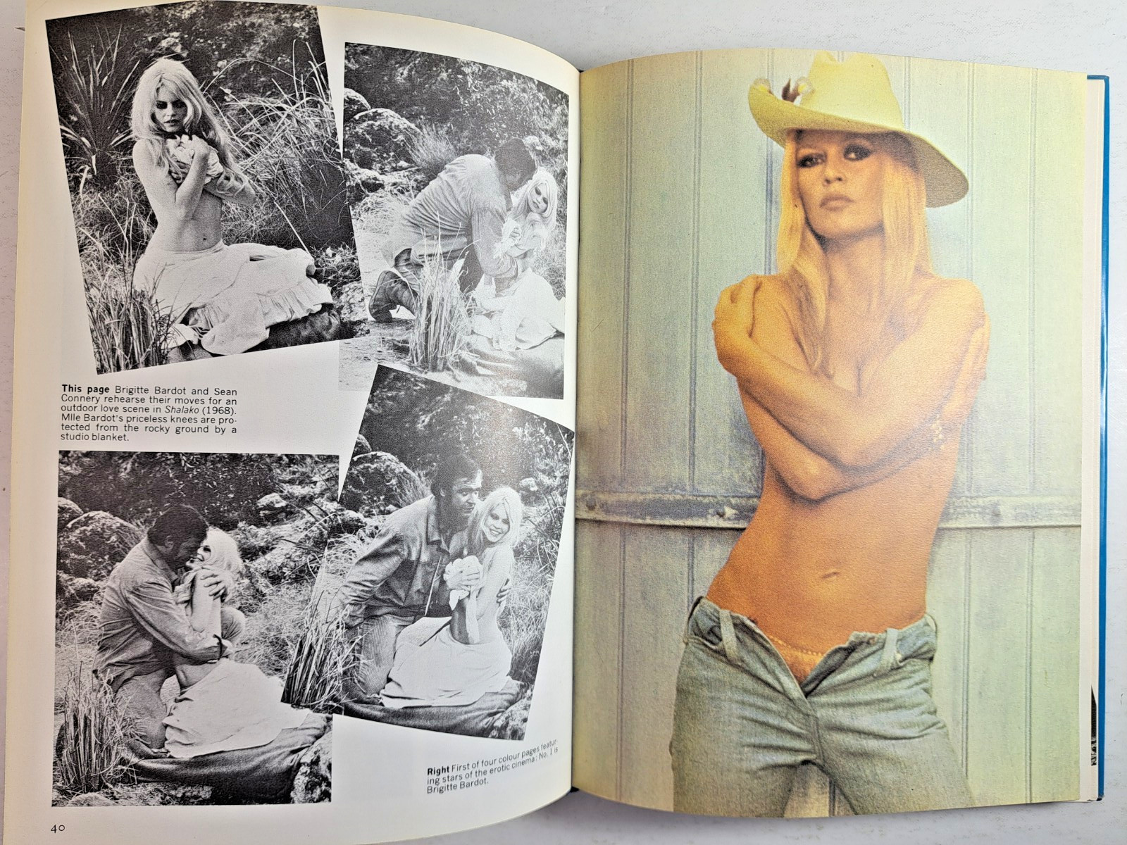 Erotic Movies by Richard, Hardcover, Dust Jacket, 1977