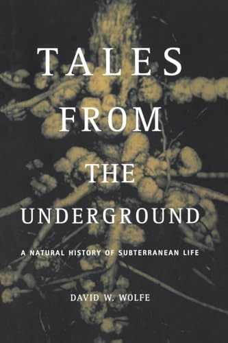 Tales From The Underground: A – Paperback, by Wolfe David; Wolfe – Very Good