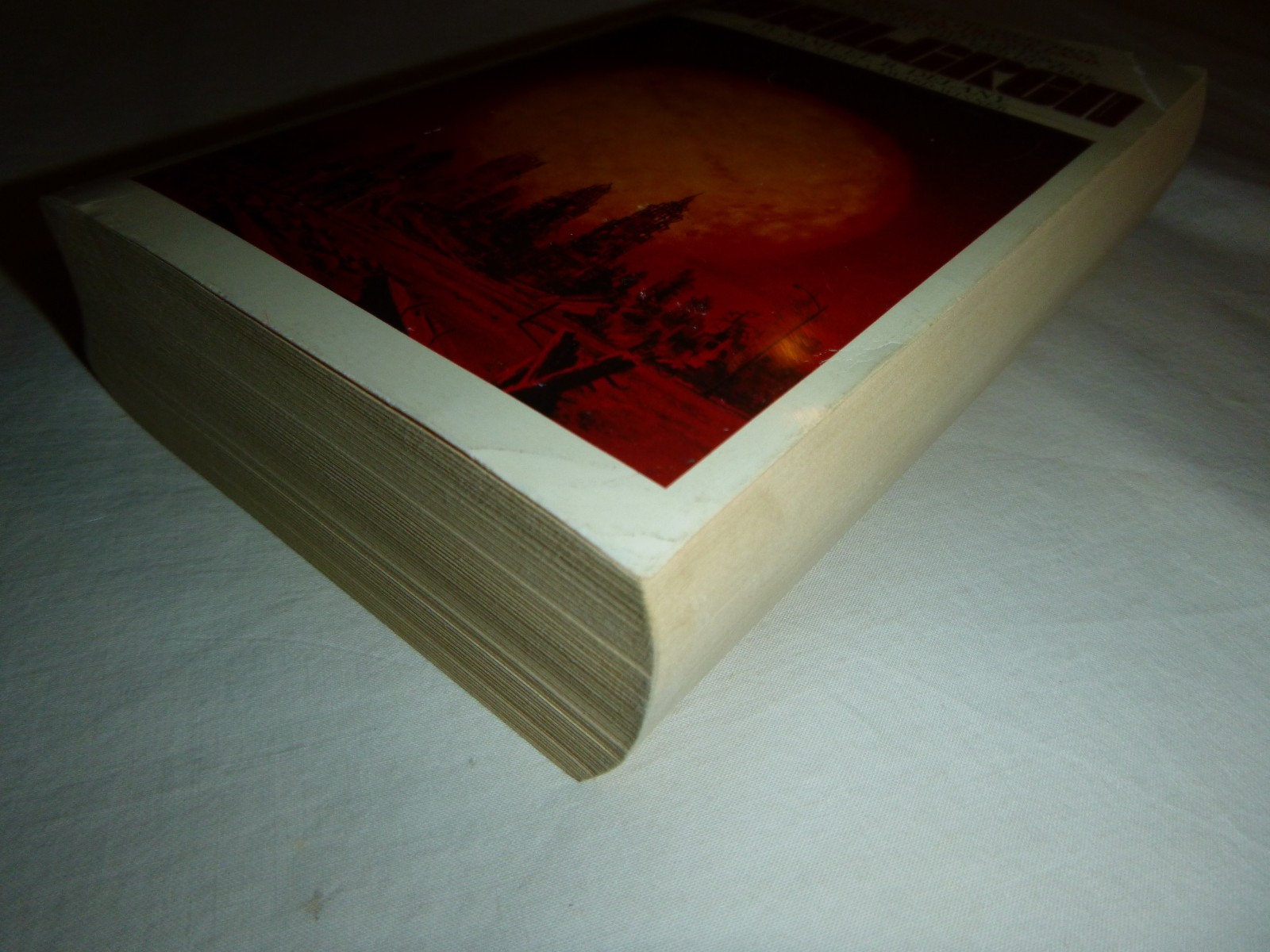 Dhalgren by Samuel R. Delany 1975 10th Printing Bantam Vintage Paperback