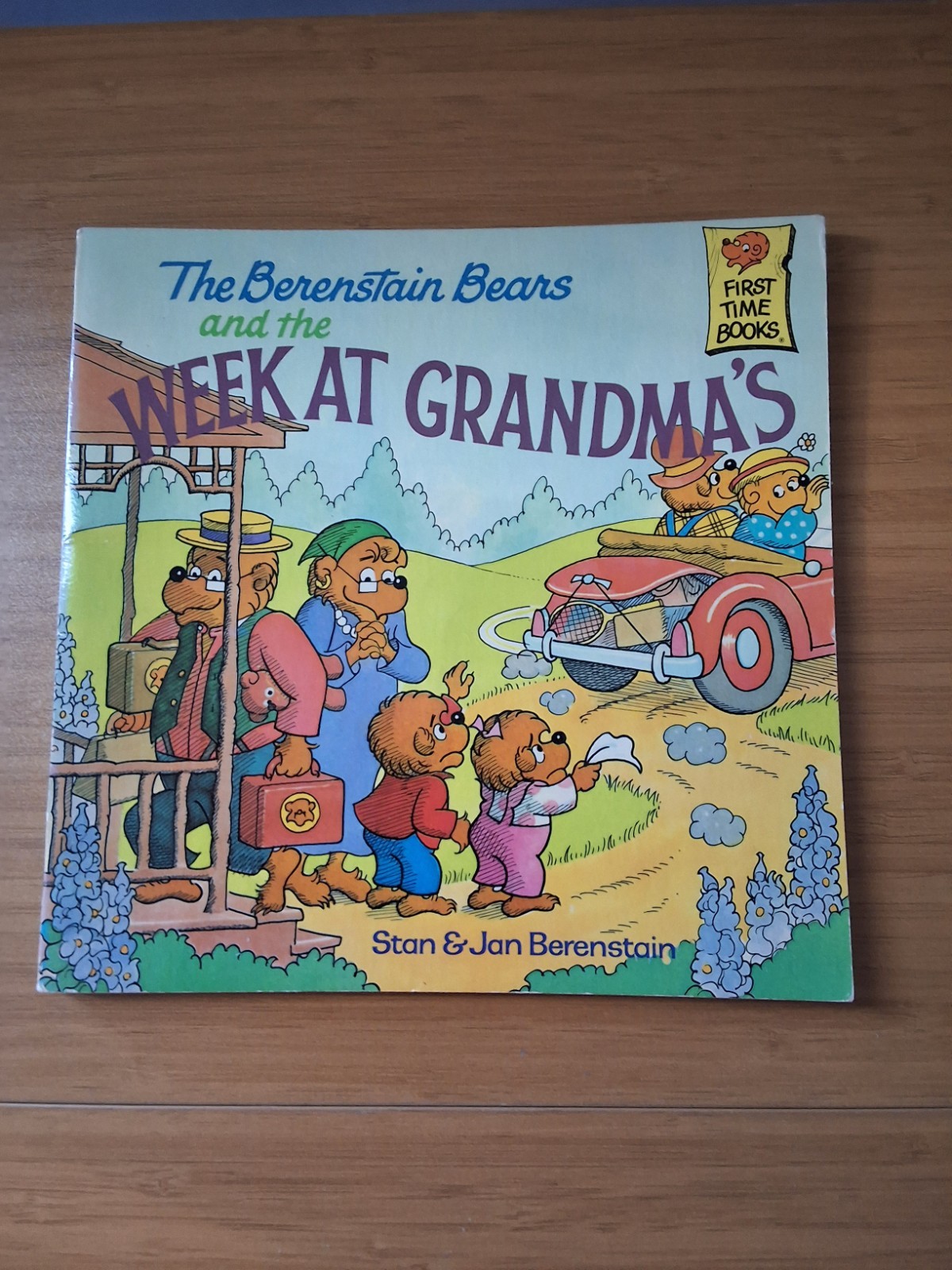 Vintage Variety Set Of Bernstein Bears Books. Lot Of 5