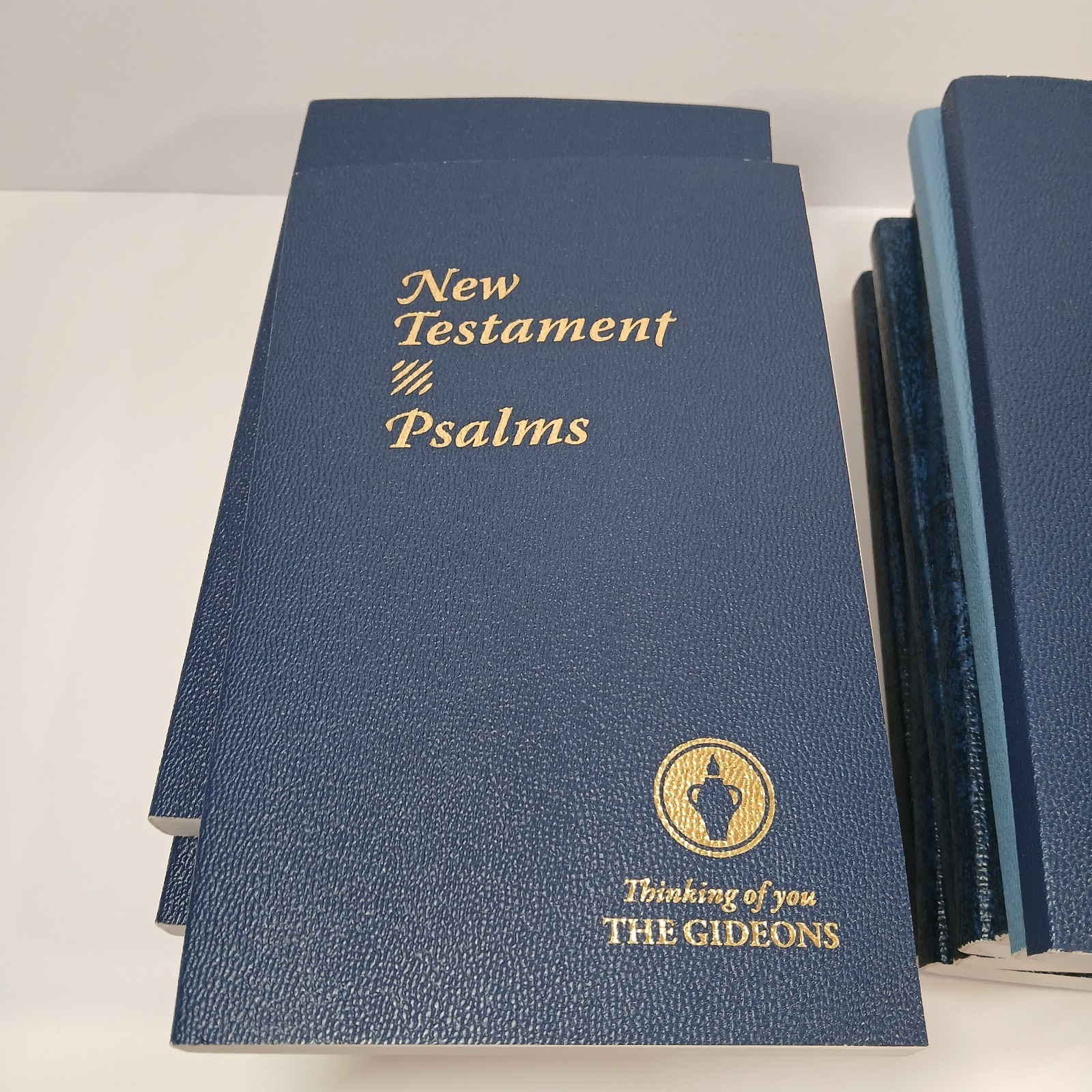 Lot of 13 New Testament Psalms KJV ESV Spanish Large Print Softcover 8.25 x 5.25