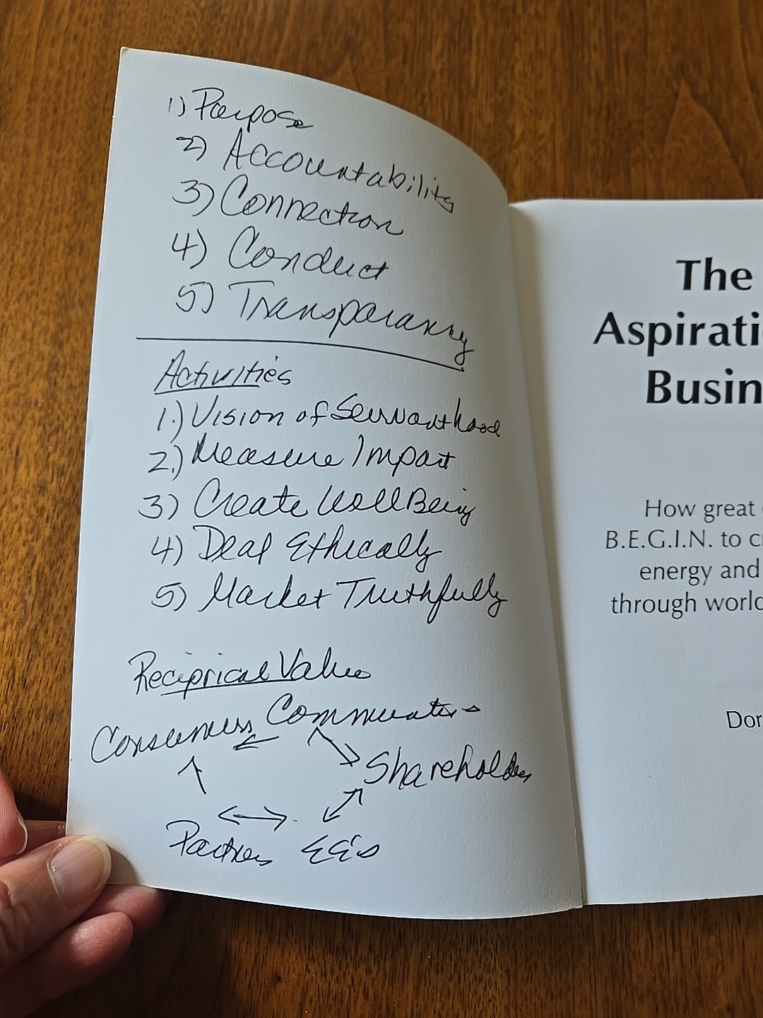 The Aspirational Business: How great companies B.E.G.I.N. to create optimism…