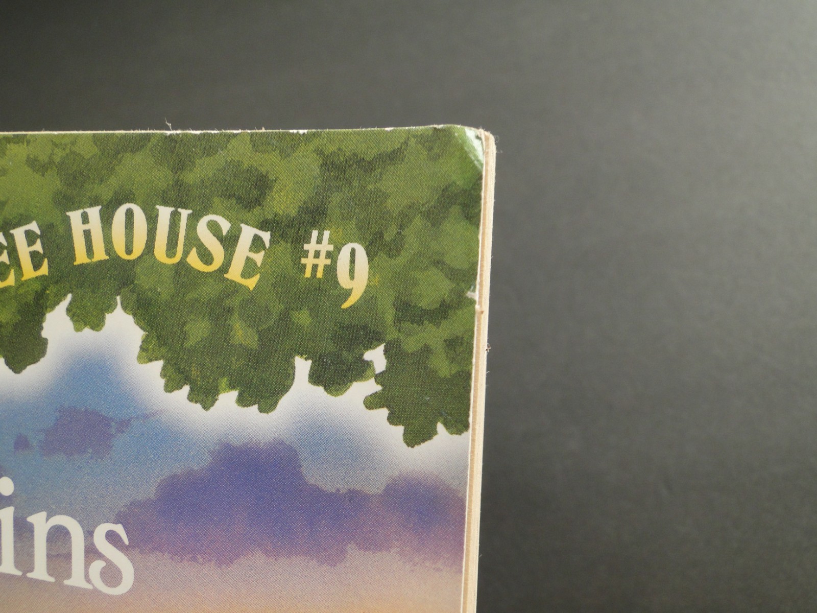 1997 Magic Tree House: Dolphins at Daybreak #9 by Mary Pope Osbourne