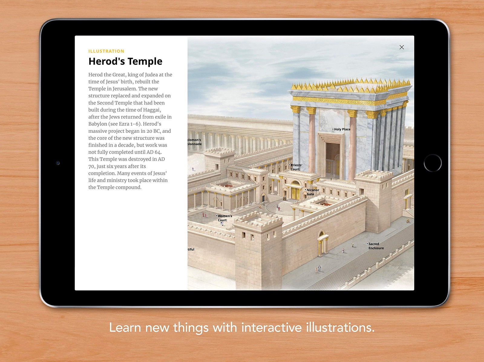 Filament Bible NLT (LeatherLike, Black): The Print+Digital Bible