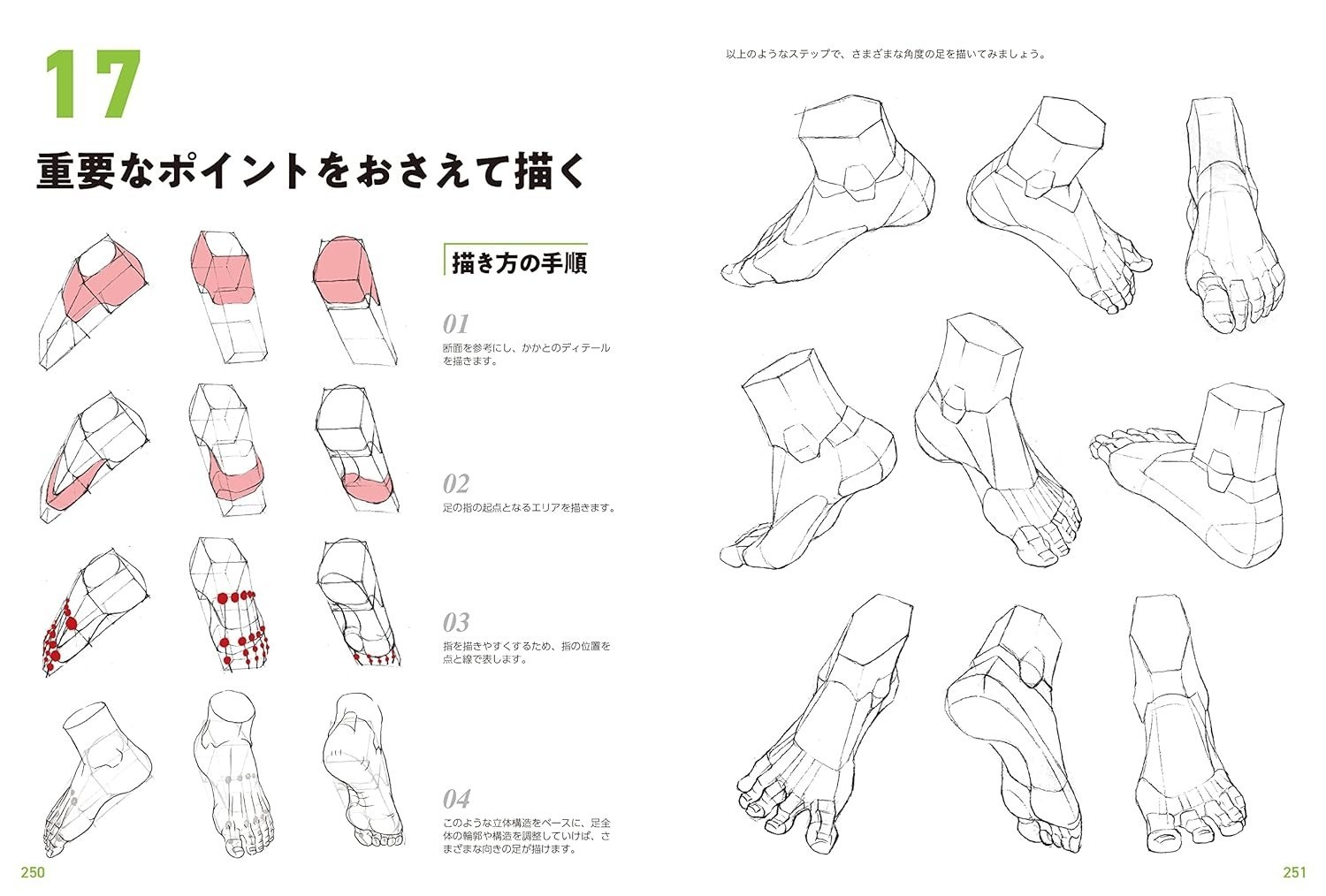 Master Guide to Drawing the Human Body Character Drawing From The Basics Book