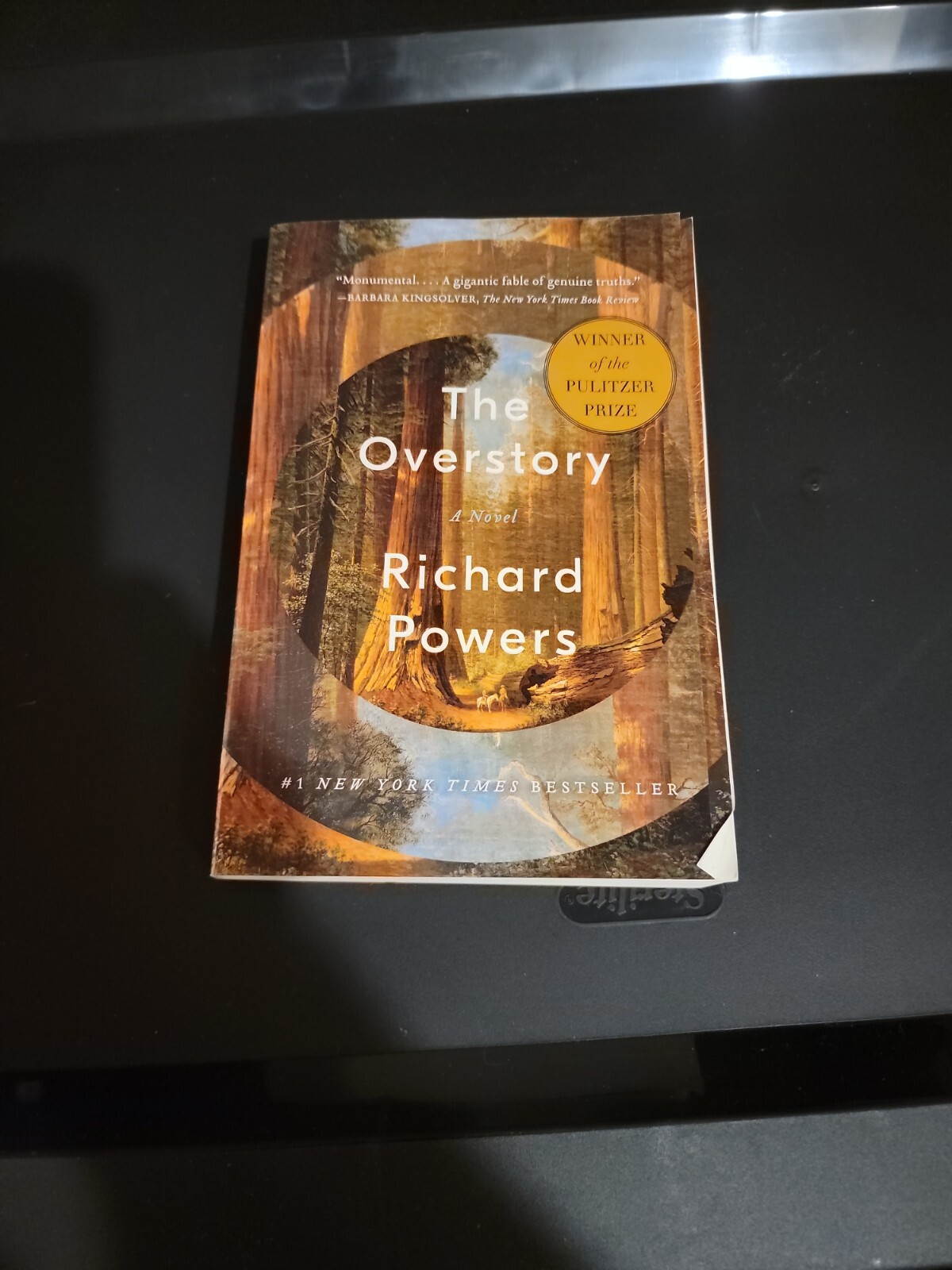 The Overstory: A Novel – Paperback By Powers, Richard – GOOD