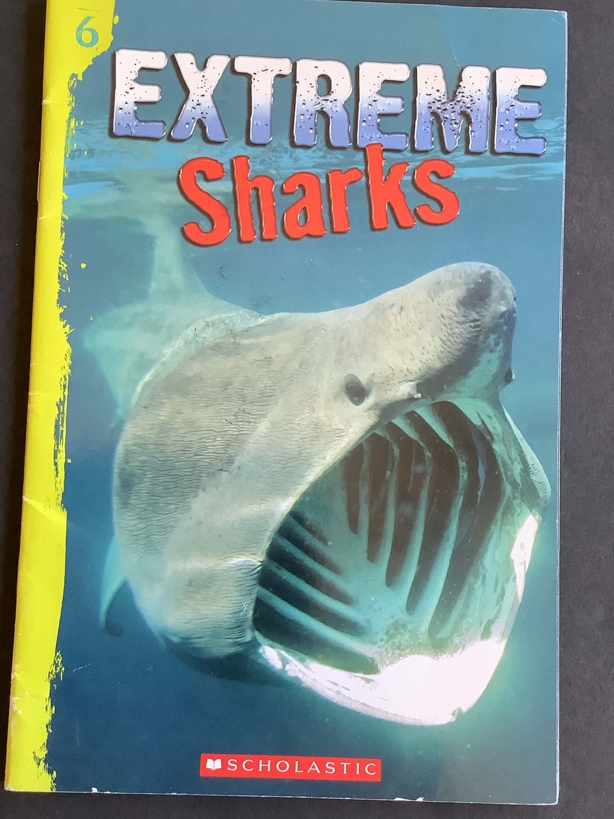 Set of 5 PERFECT HUNTER, SHARK JOURNEYS Books 2 through 6 – For those littles!
