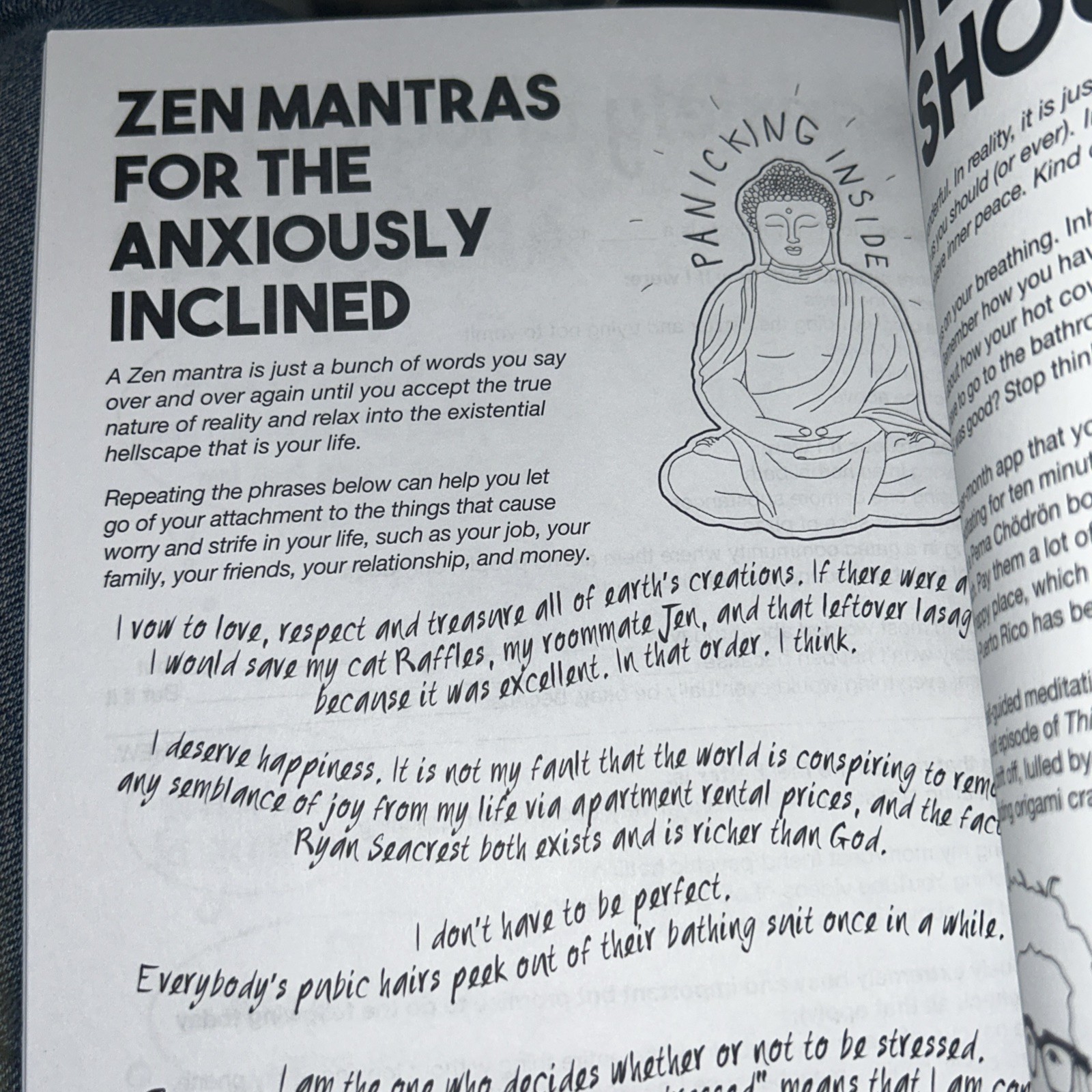 Big Activity Book for Anxious People by Erin Williams and Jordan Reid (2019,…