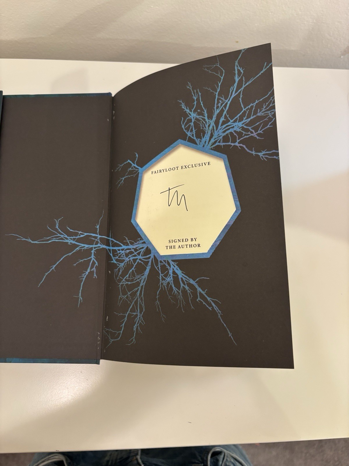 Shatter Me by Tahereh Madi Fairyloot Signed Special Edition