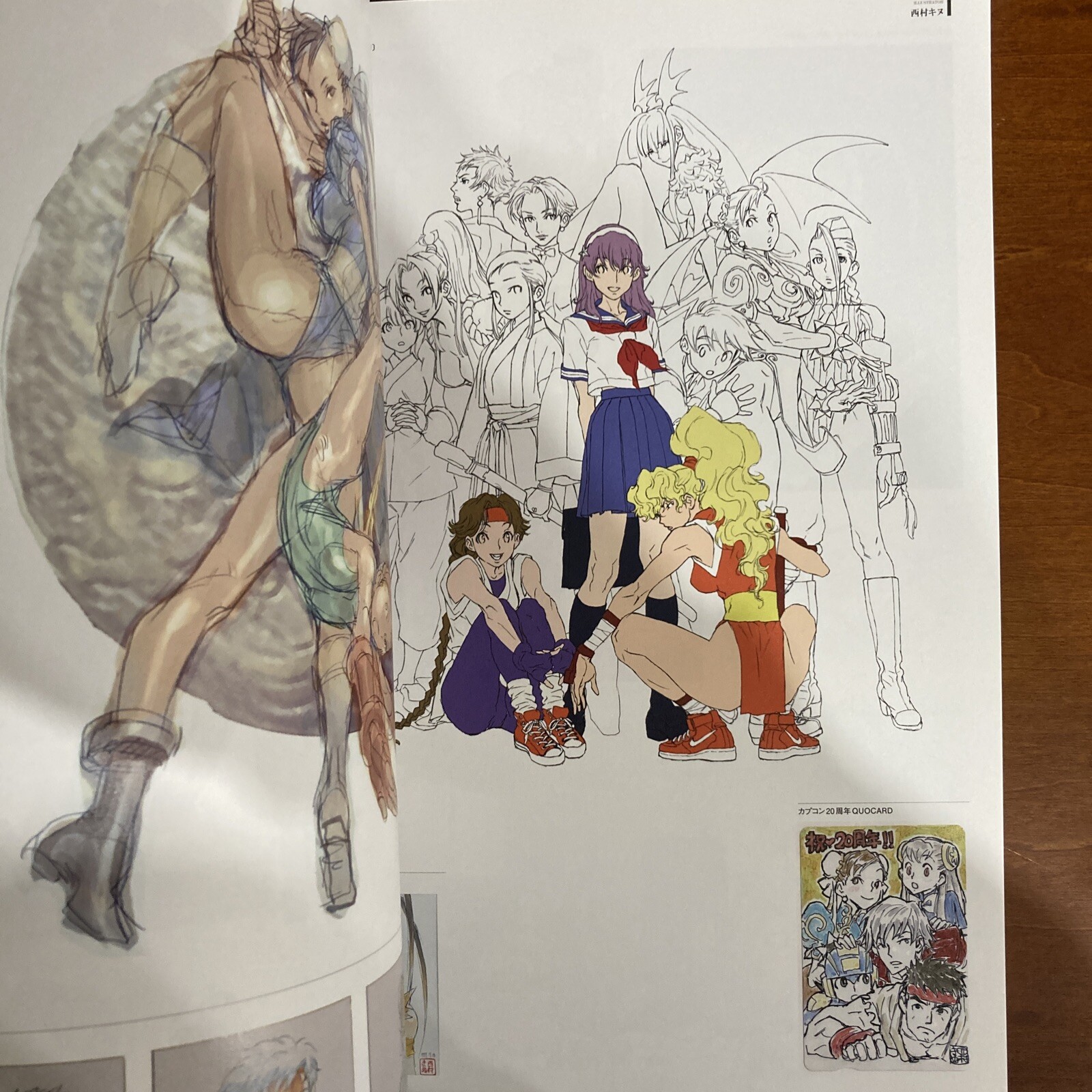 Street Fighter Artworks Kyoku Art Book Illustration