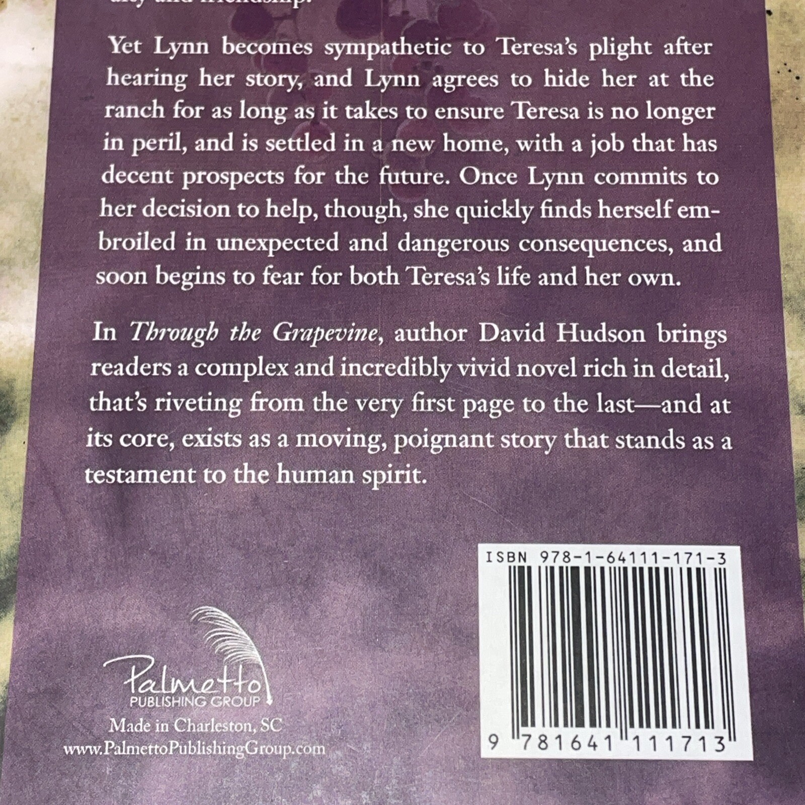 Through The Grapevine Novel David Hudson 2018 Palmetto Publishing *SIGNED*