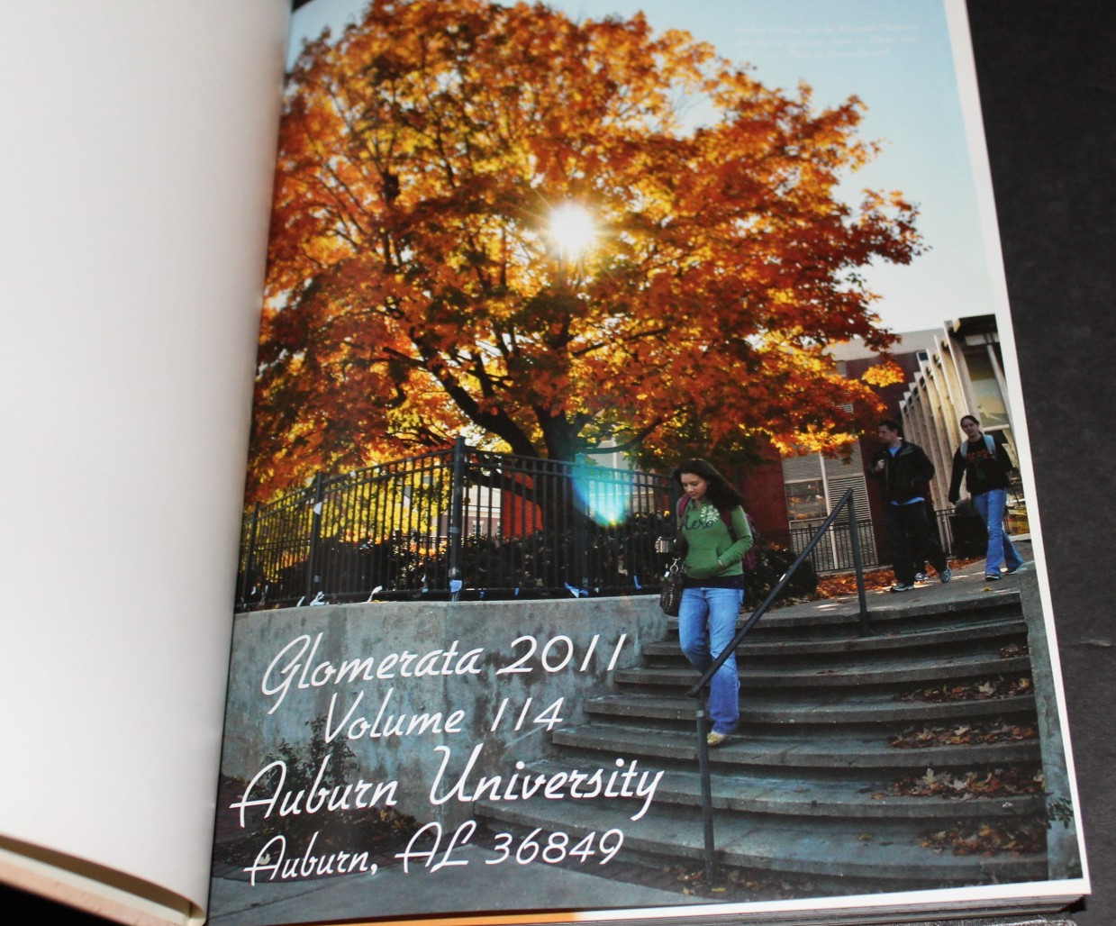 2011 Auburn University YEARBOOK Football Champions Cam Newton 482 pages