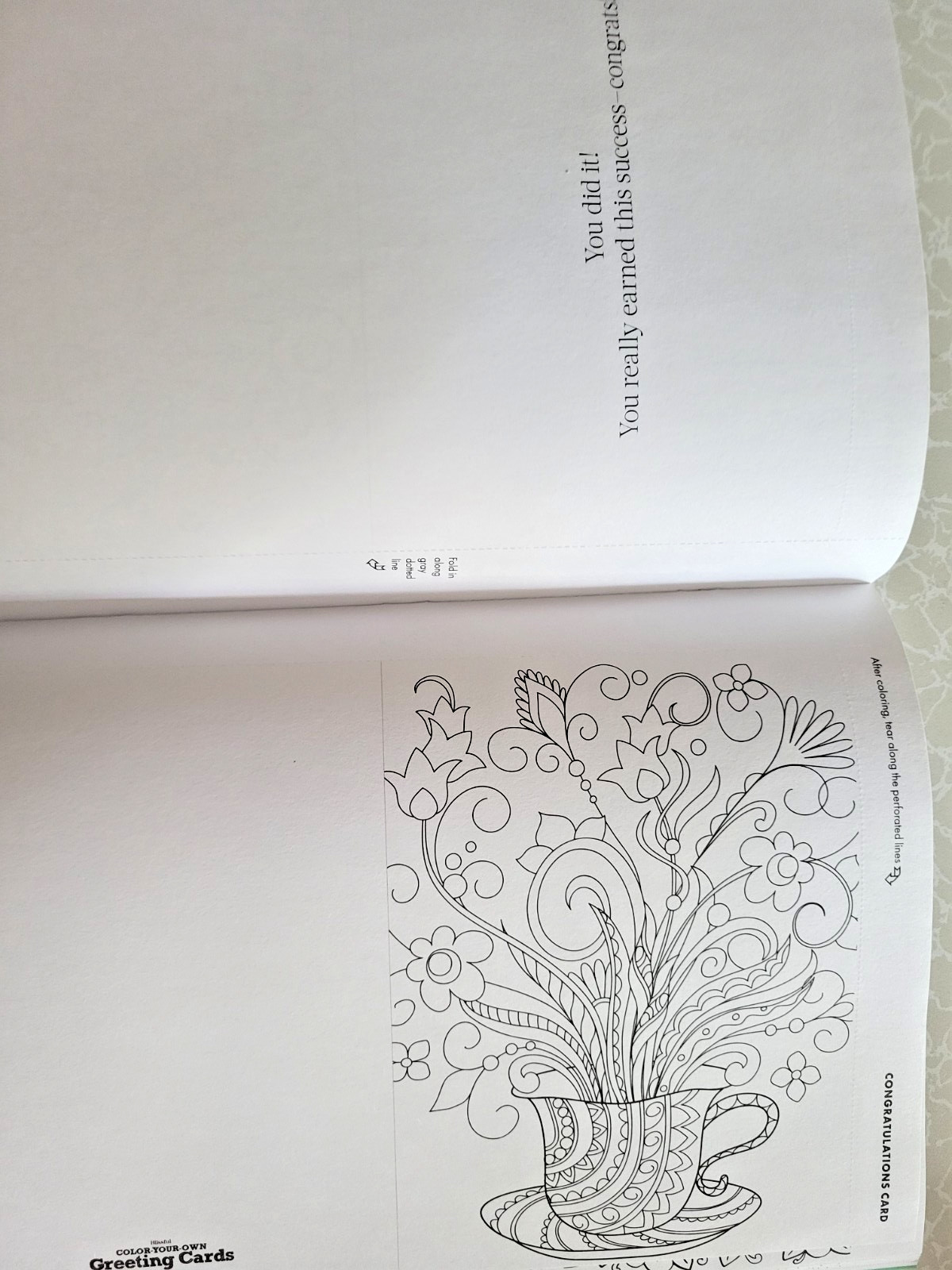 COLOR YOUR OWN GREETING CARDS Create 27 Fun & Festive Cards – Children & Adult