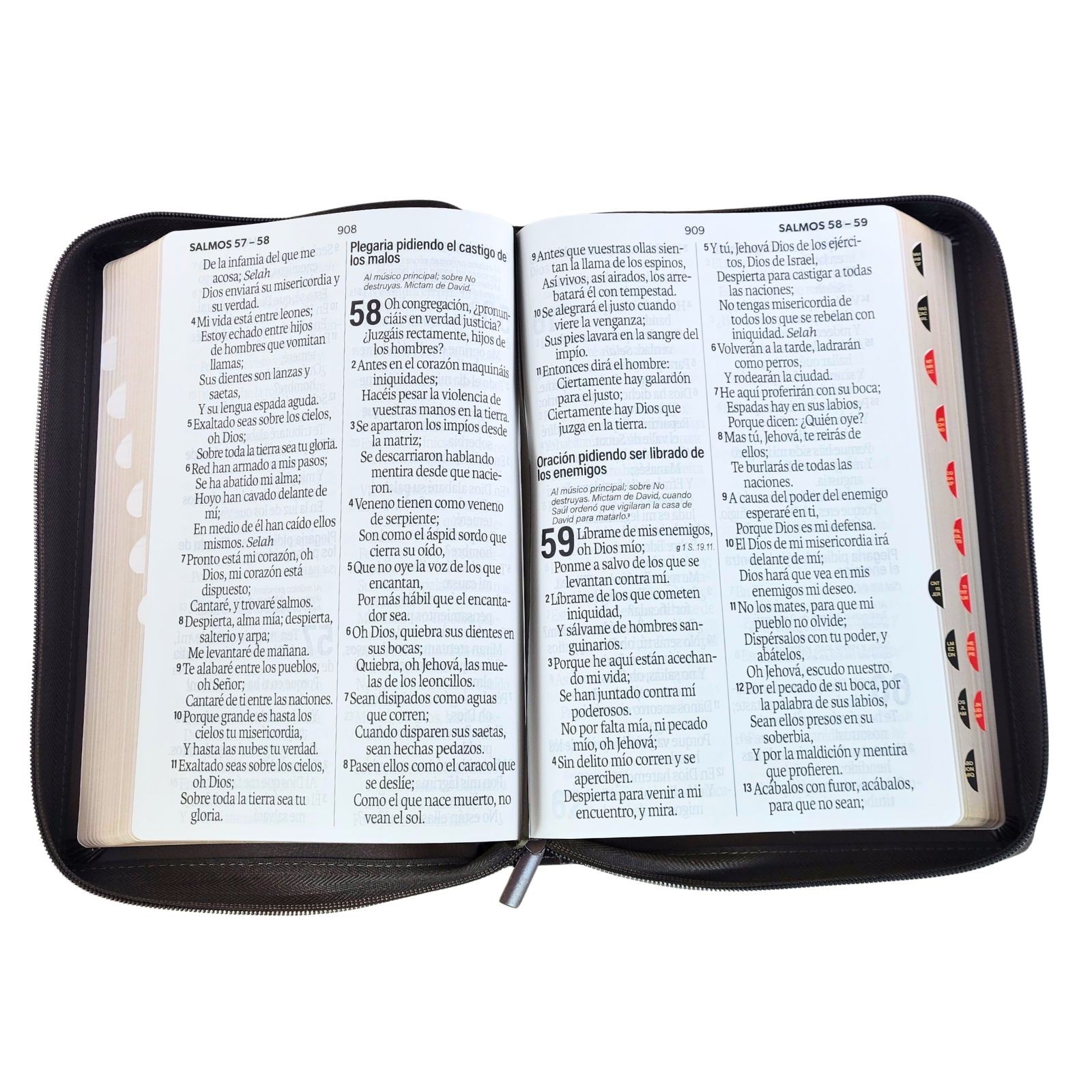Biblia con Cierre Letra SuperGigante 19 puntos RV1960 con indice- Arca del Pacto