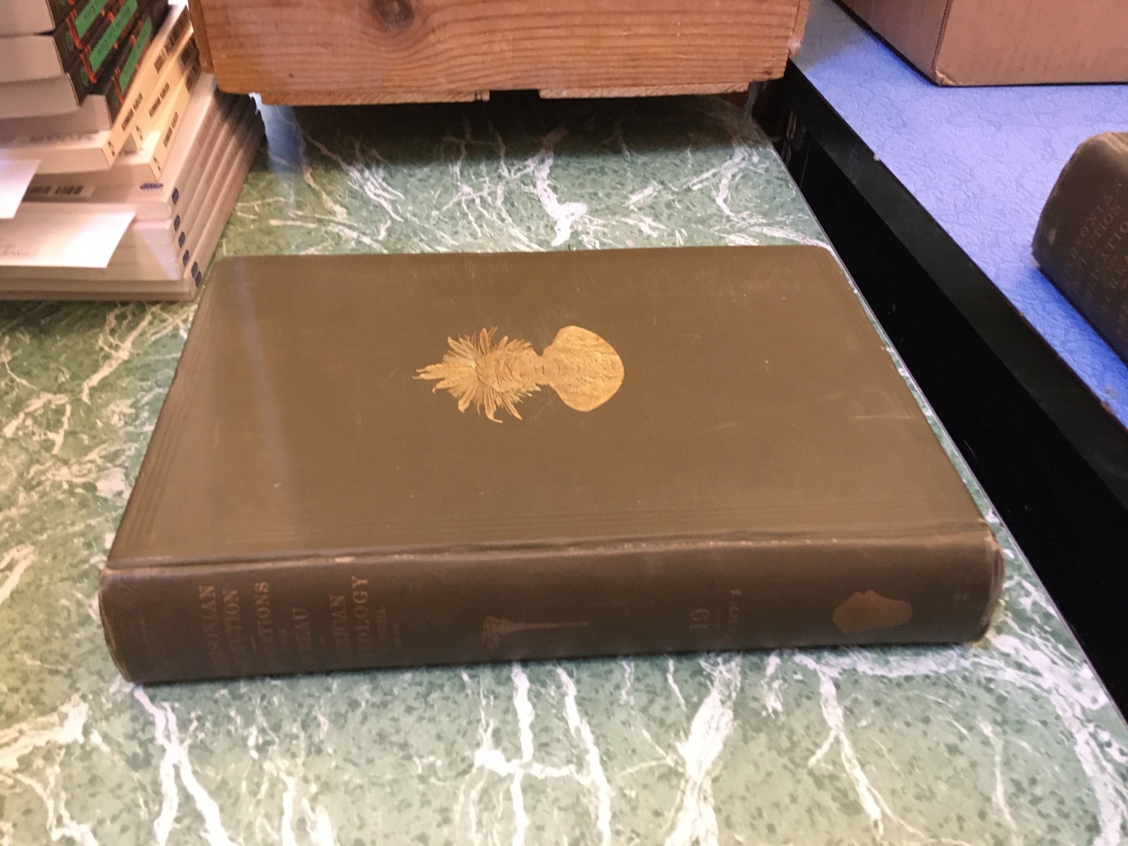 PUBLICATIONS OF THE BUREAU OF AMERICAN ETHNOLOGY 19 2 Vol HB 1900 JW Powell