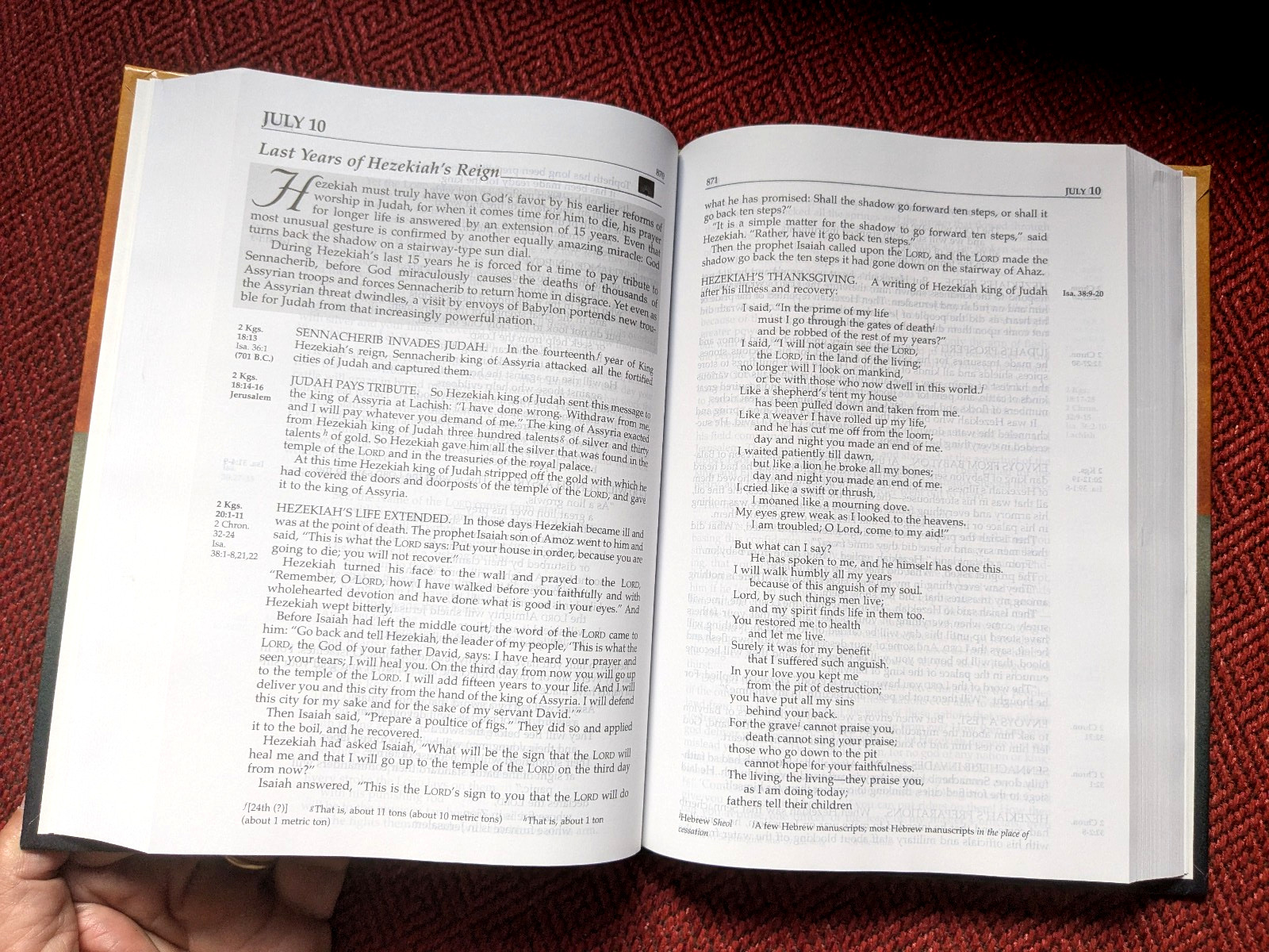 Daily Bible In Chronological Order 365 Daily Readings NIV – FAST SHIPPING