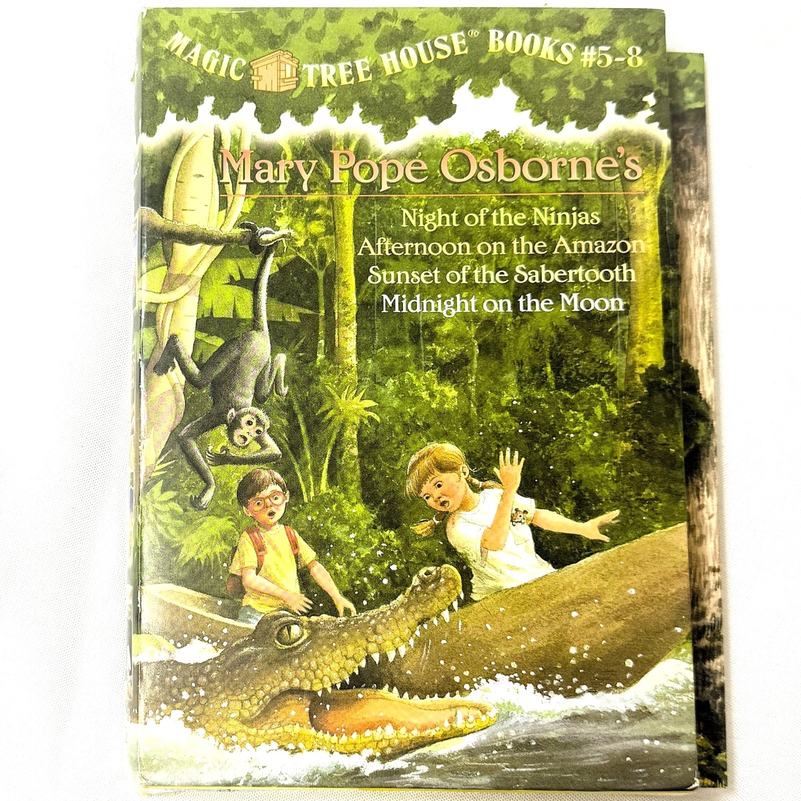 Magic Tree House Books 5-8 Box Set Mary Pope Osborne Paperback Set