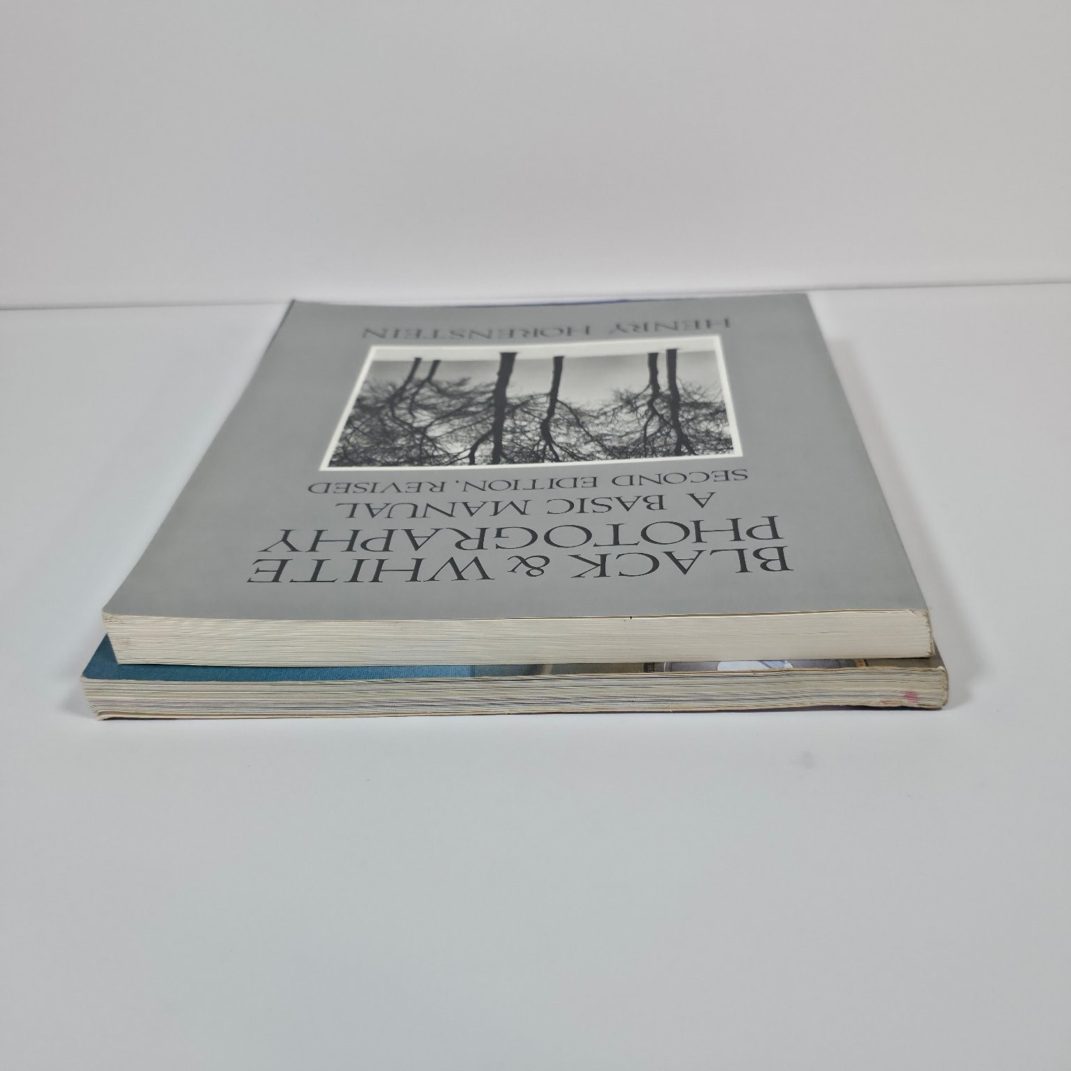 Photography Books Lot Zuckerman Shooting & Selling Horenstein Black & White
