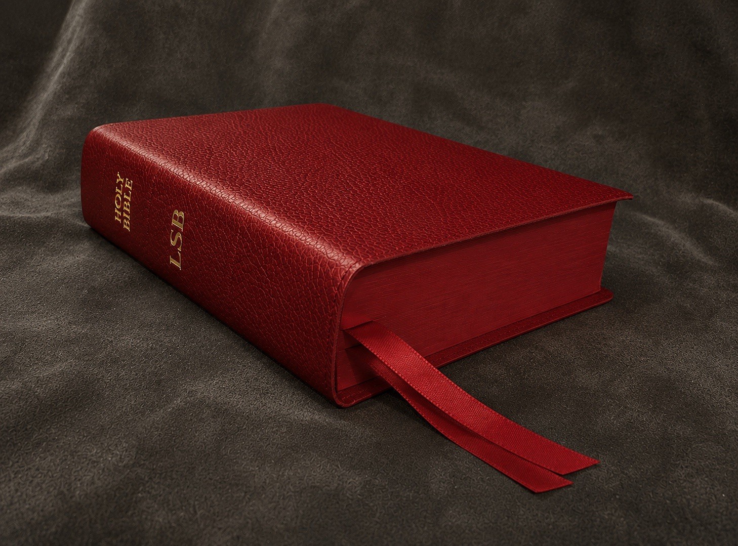 Lsb Legacy Standard Bible Portable Paragraph Reference Red Leather