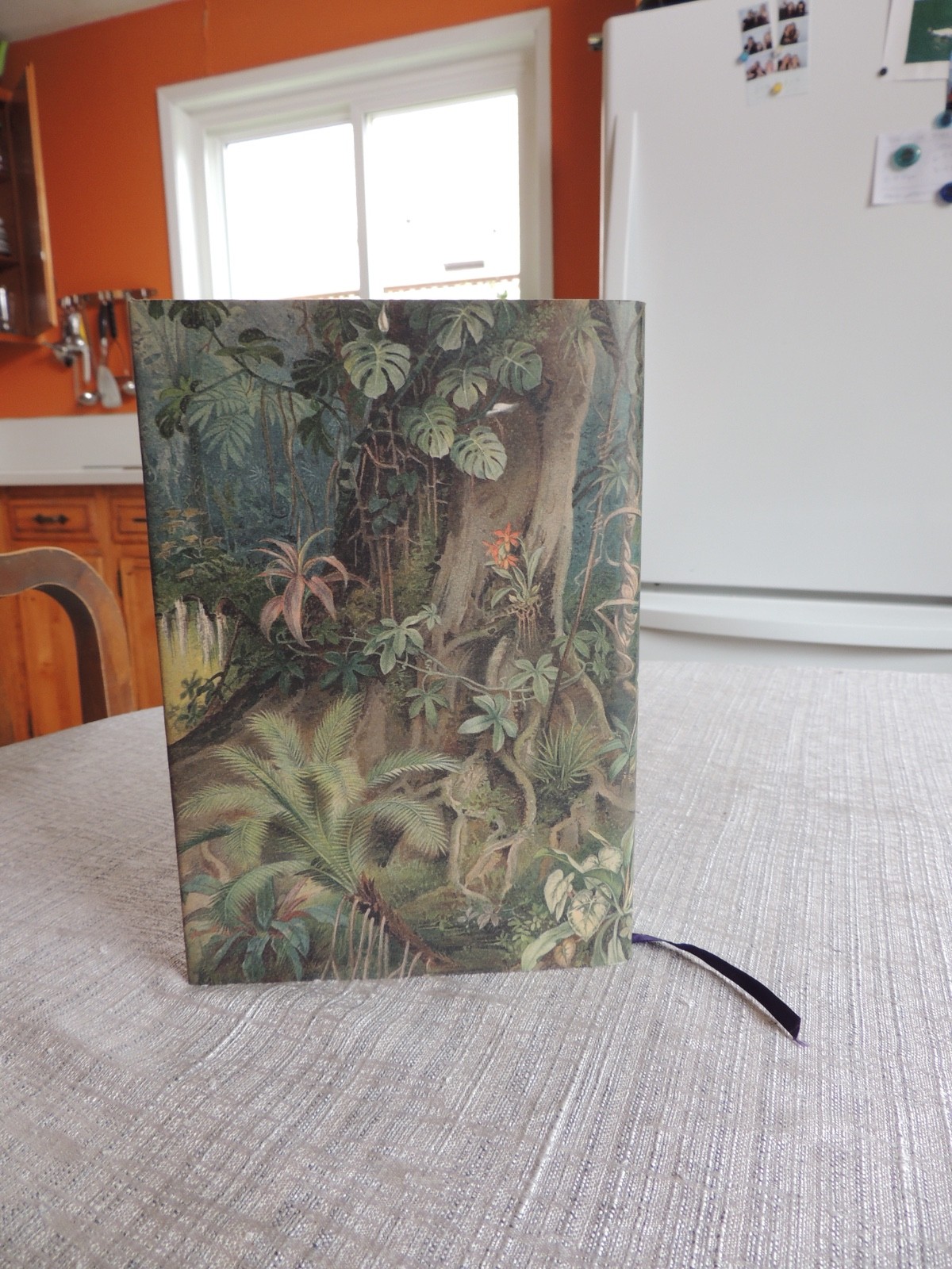 Gordon White Ani.Mystic Encounters With A Living Cosmos Scarlet Imprint Ltd/900
