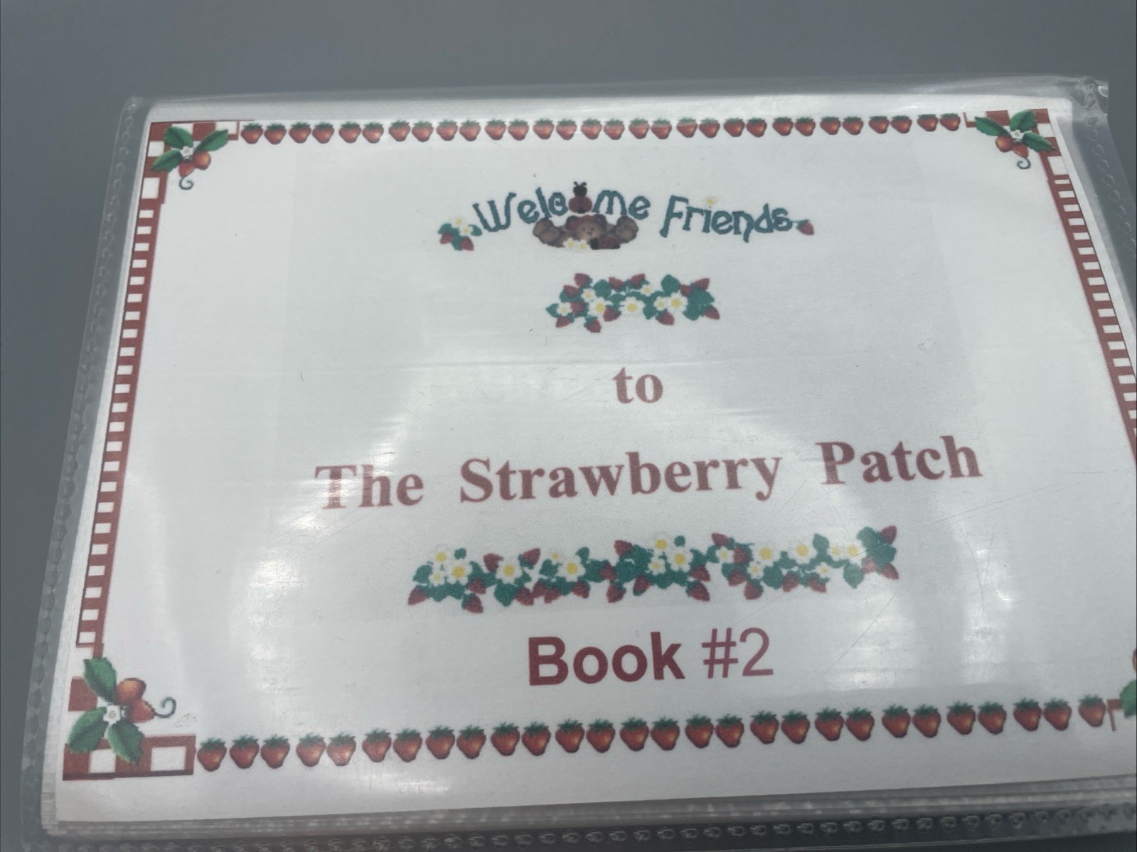 The Homemade Recipes for Strawberries , 2 Ea 4×6” Books