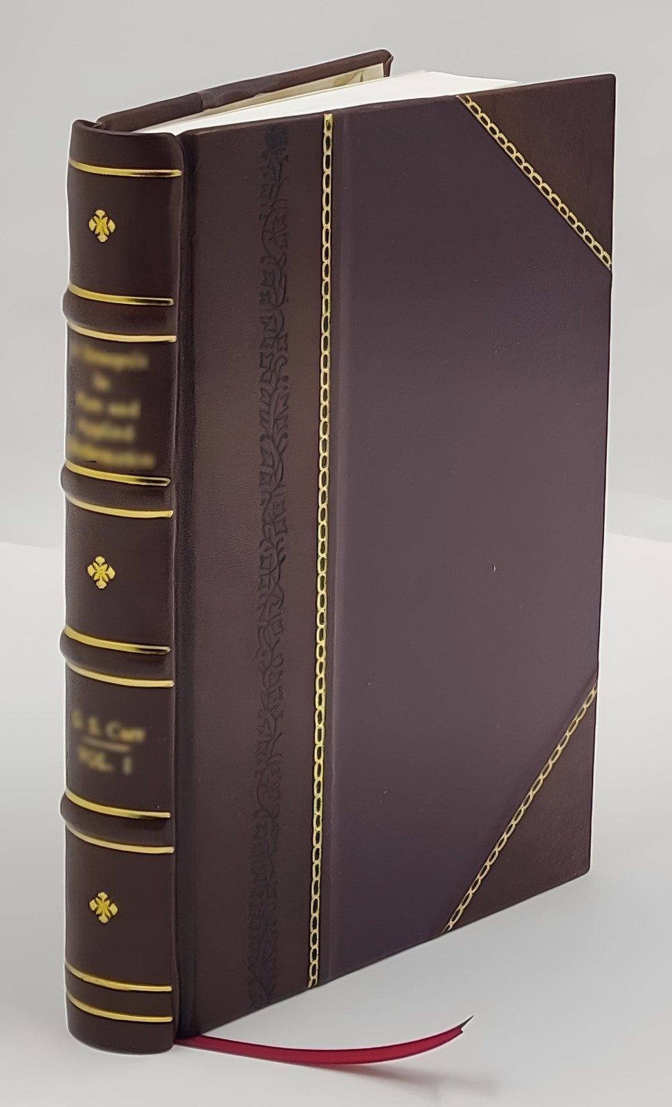 De praestigiis daemonum, et incantationibus ac uenefic 1563 [Crafted Leather]