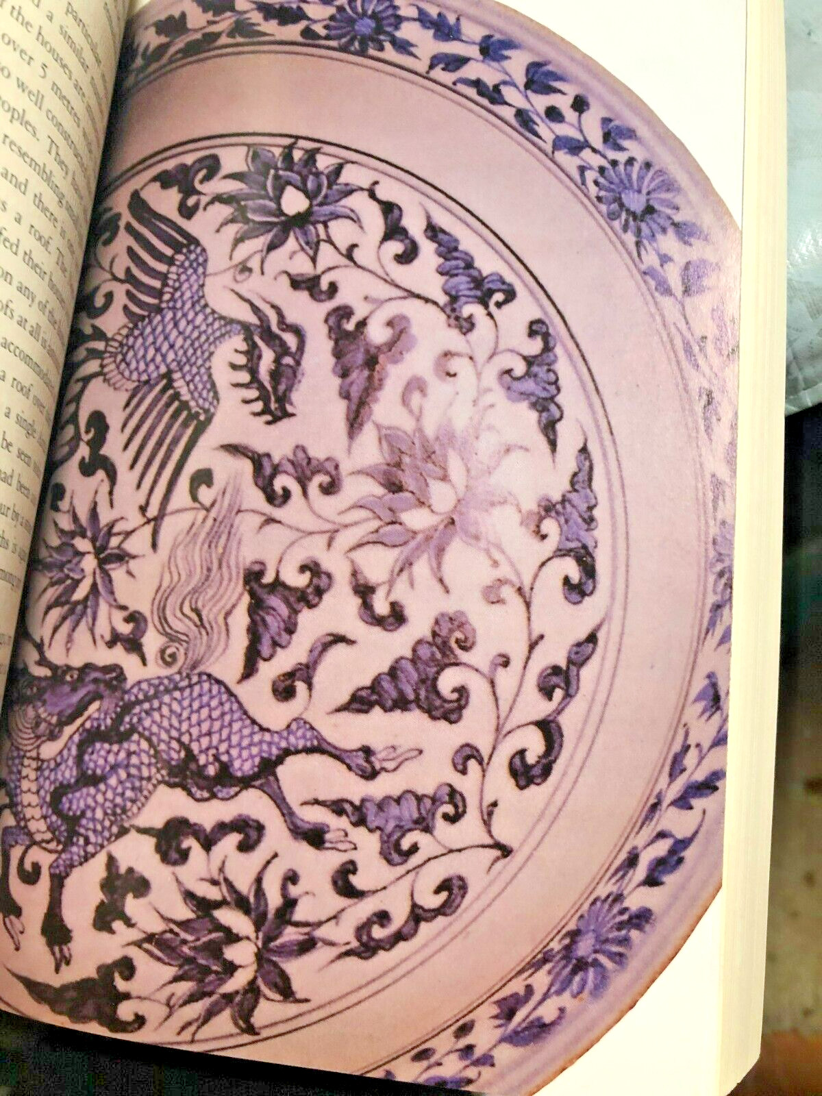RARE! 1421 : The Year China Discovered America by Gavin Menzies GREAT SOFTCOVER