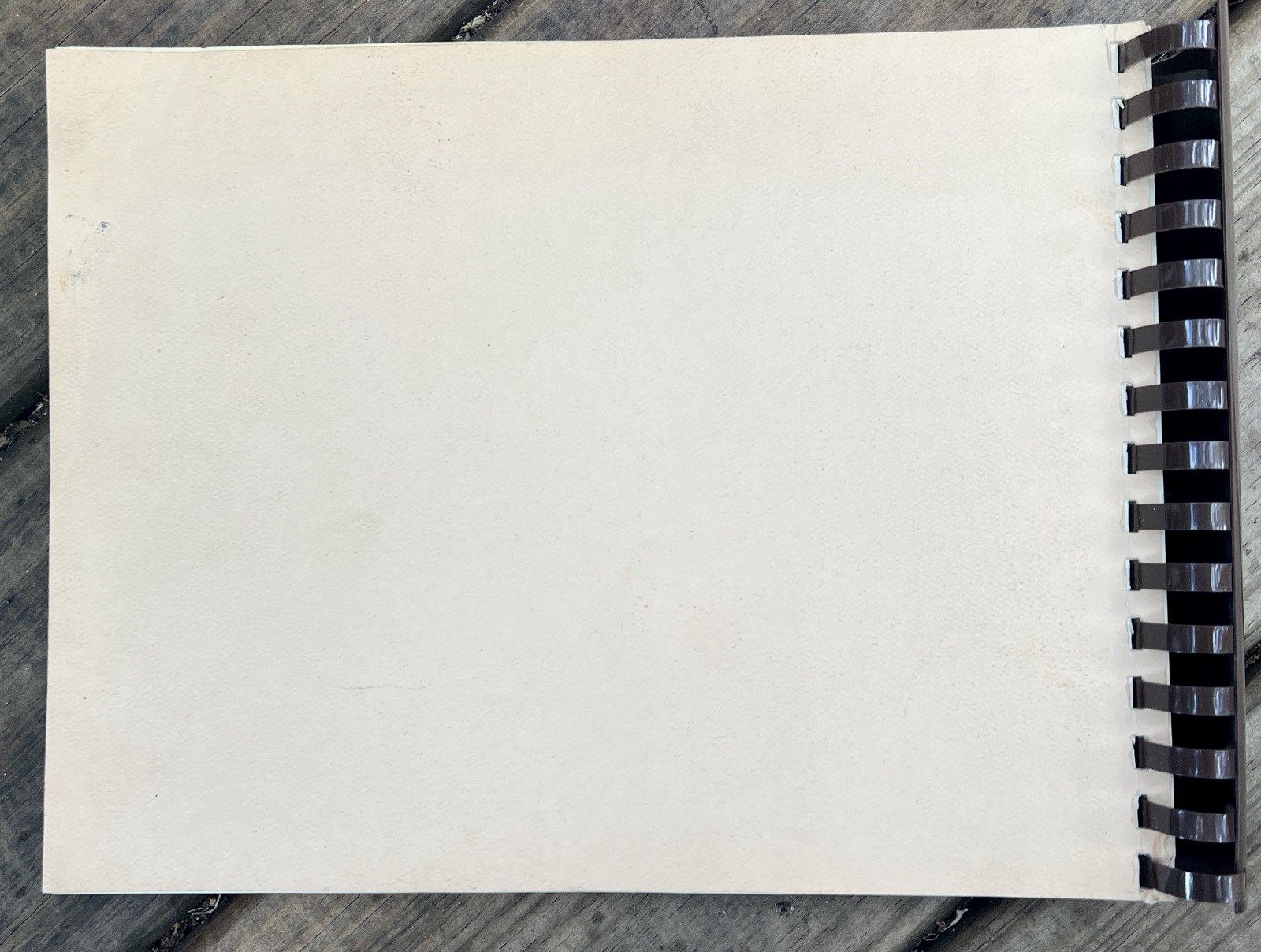 Traces of the Past 1984 Local-Family History Beaverton Washington County Oregon