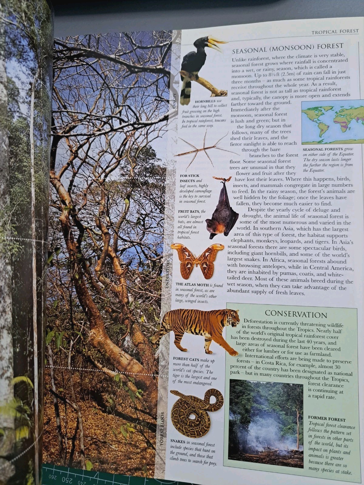 Smithsonian Institution Animal – Visual Guide to Wildlife Educational Book