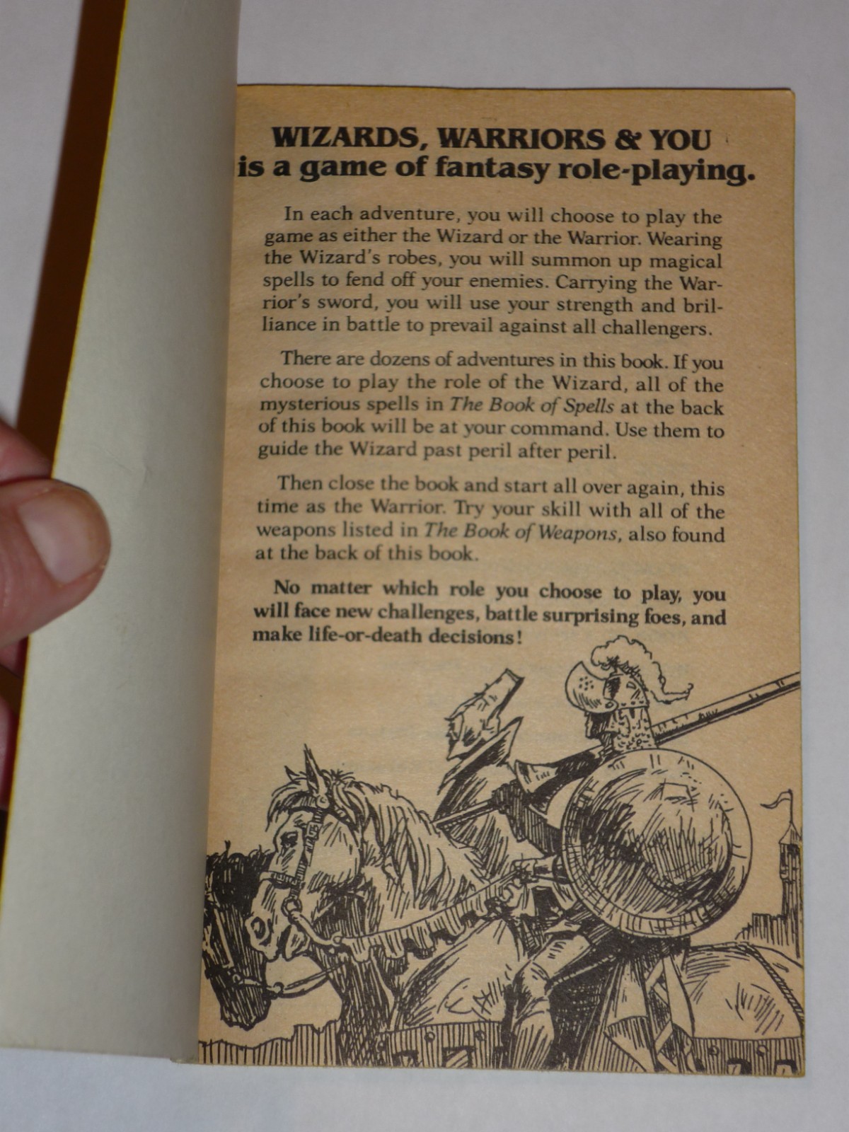 Wizards Warriors & You #18 Warrior Women of Weymouth, RARE Vtg PB Role-Playing