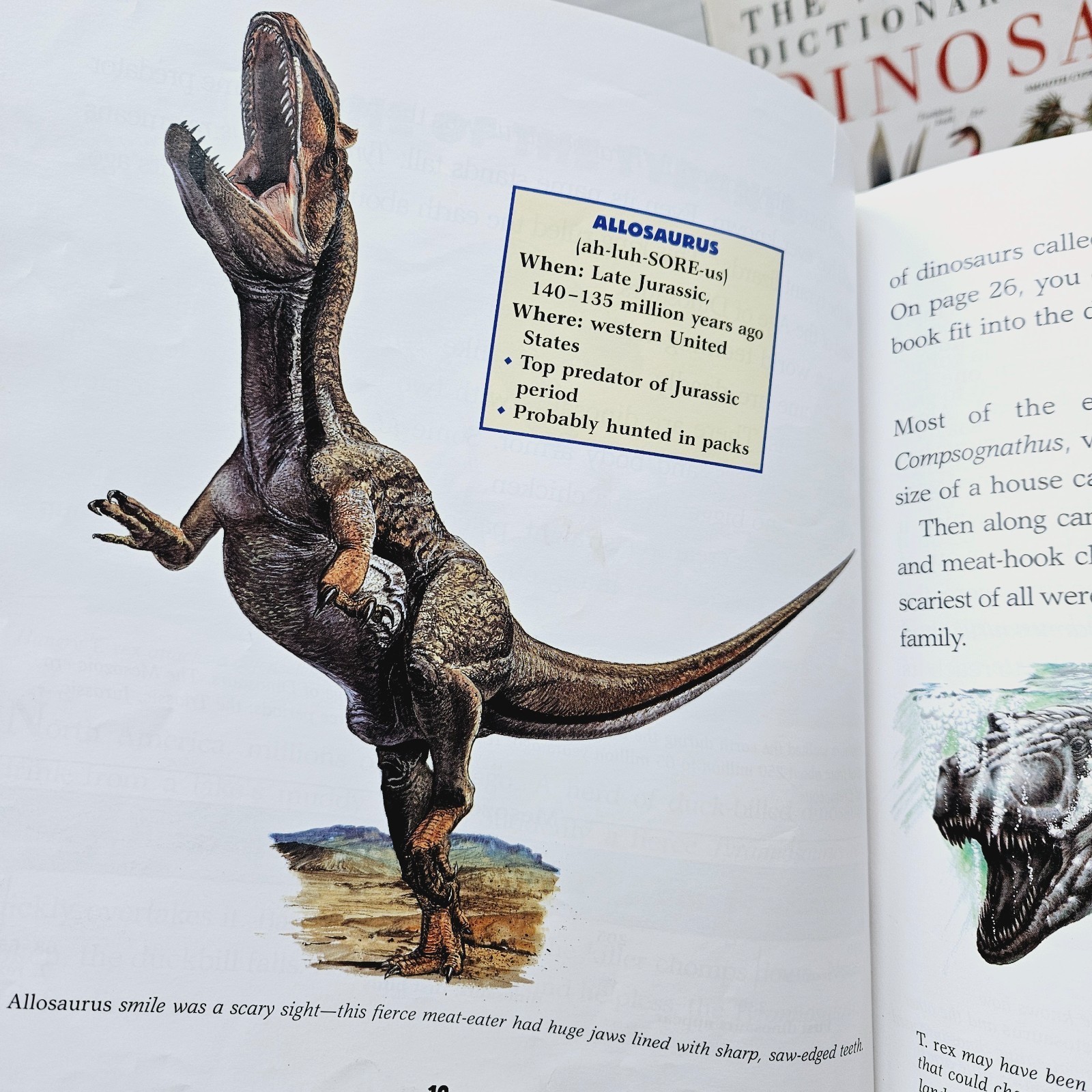 Kids Books About Dinosaurs Lot of 10 Homeschool Classroom Library Eyewitness