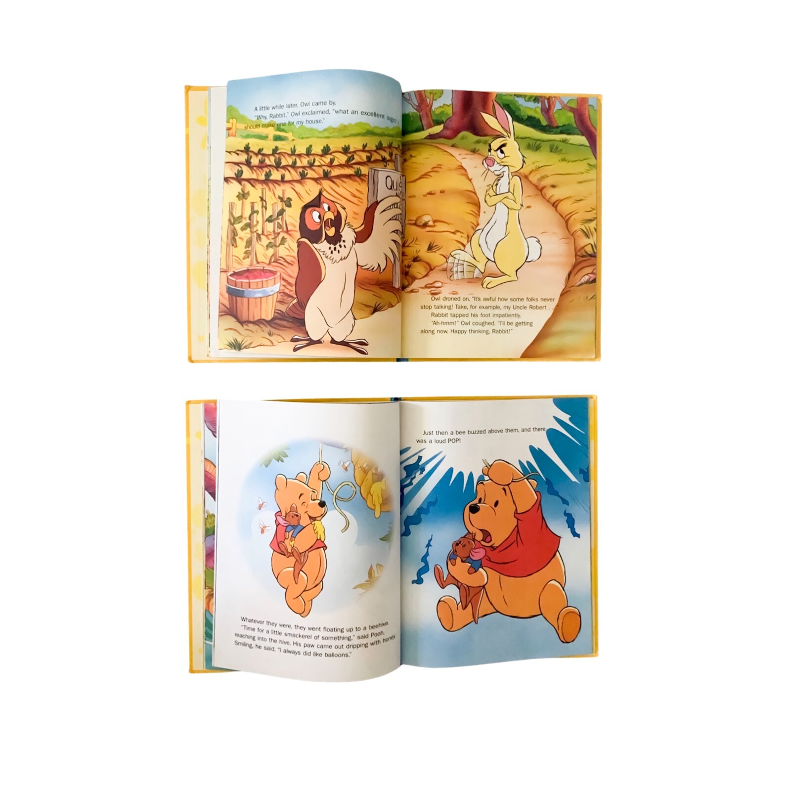 Disney’s” Out & About With Pooh” There’s No Place Like Home, Rabbit’s Ears x 2