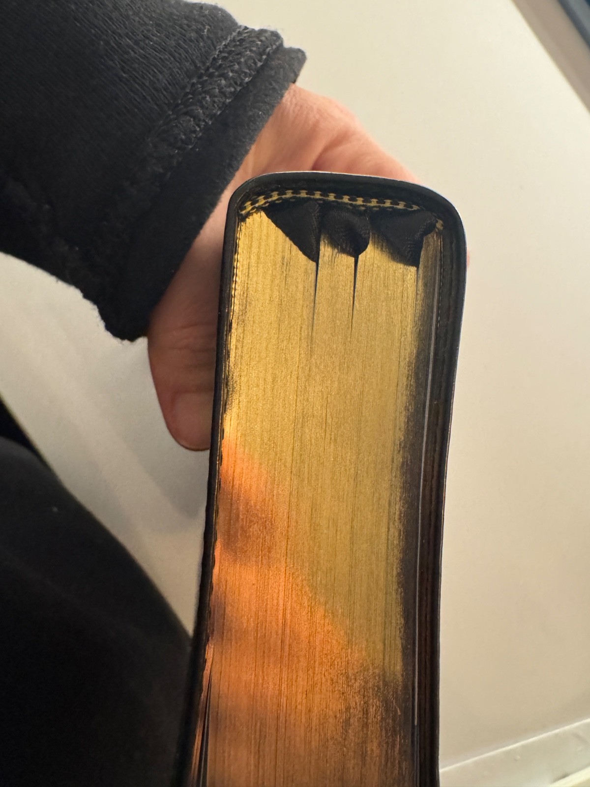 ESV Single Column Personal Reference Bible- Extra Ribbons Blue Gold Gilded
