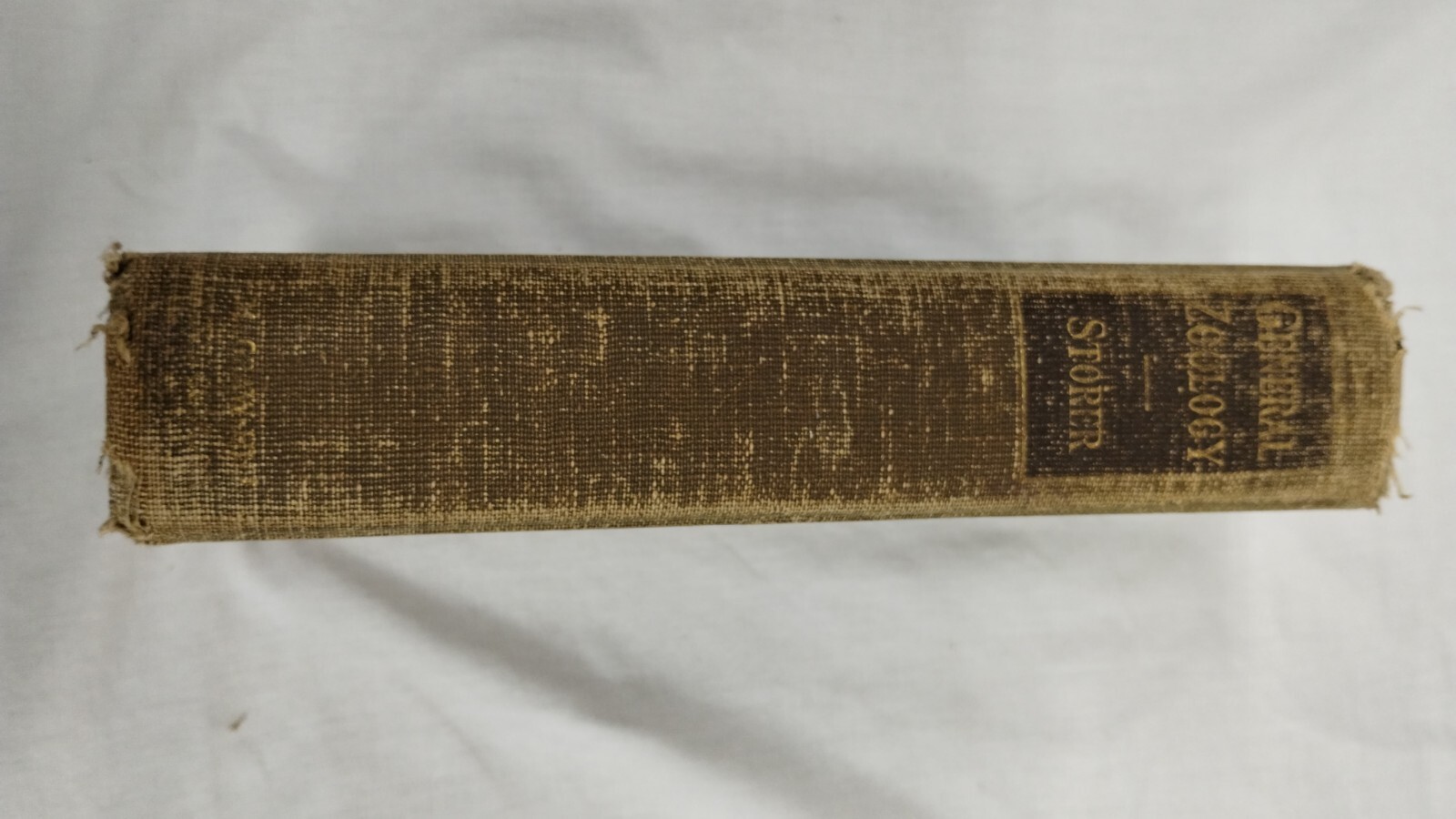 Old 1943 GENERAL ZOOLOGY Book ANIMALS ILLUSTRATED FISH MAMMALS BIRDS BIOLOGY