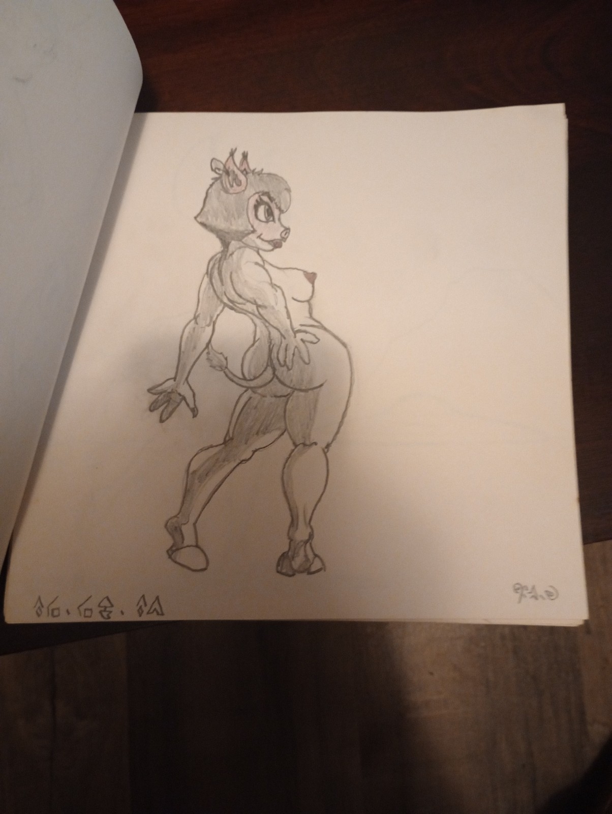 Adult Art Drawings 45 Pages By John A. Goester