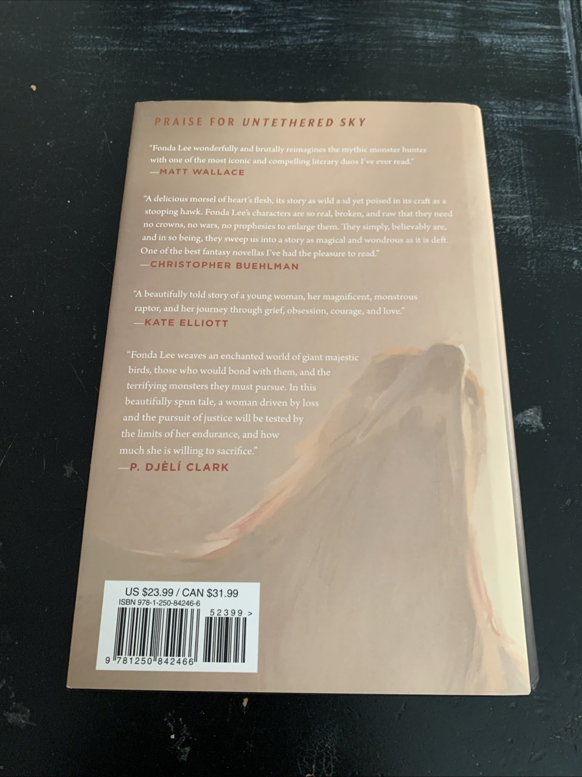 Untethered Sky by Fonda Lee (2023, Hardcover) 1st Edition 3rd Printing