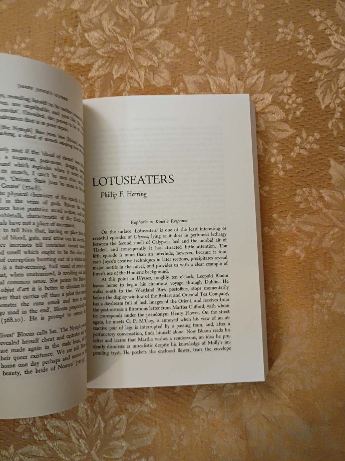 James Joyce’s Ulysses Critical Essays 1977 UC Press Paperback Printing Book