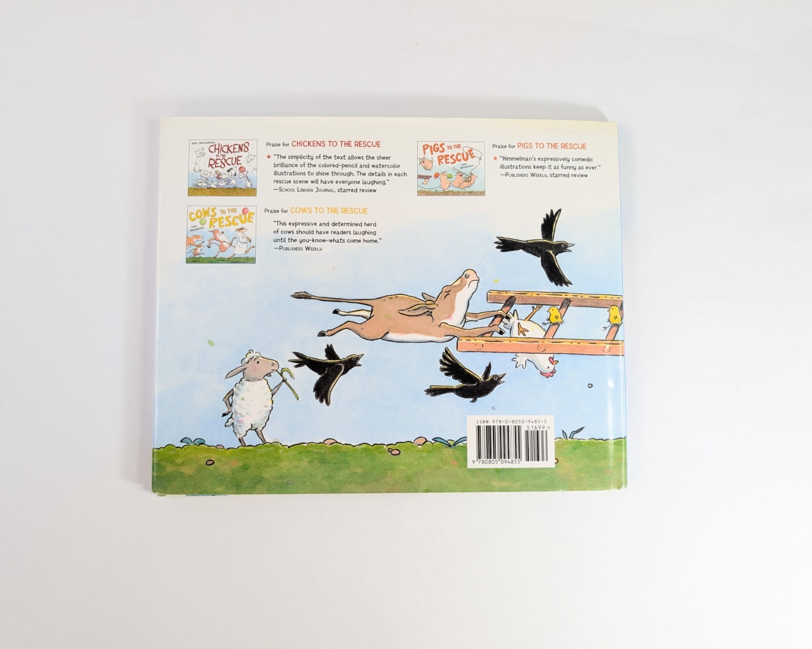 Duck To The Rescue John Himmelman Hardcover Book With Dust Jacket Kids Book