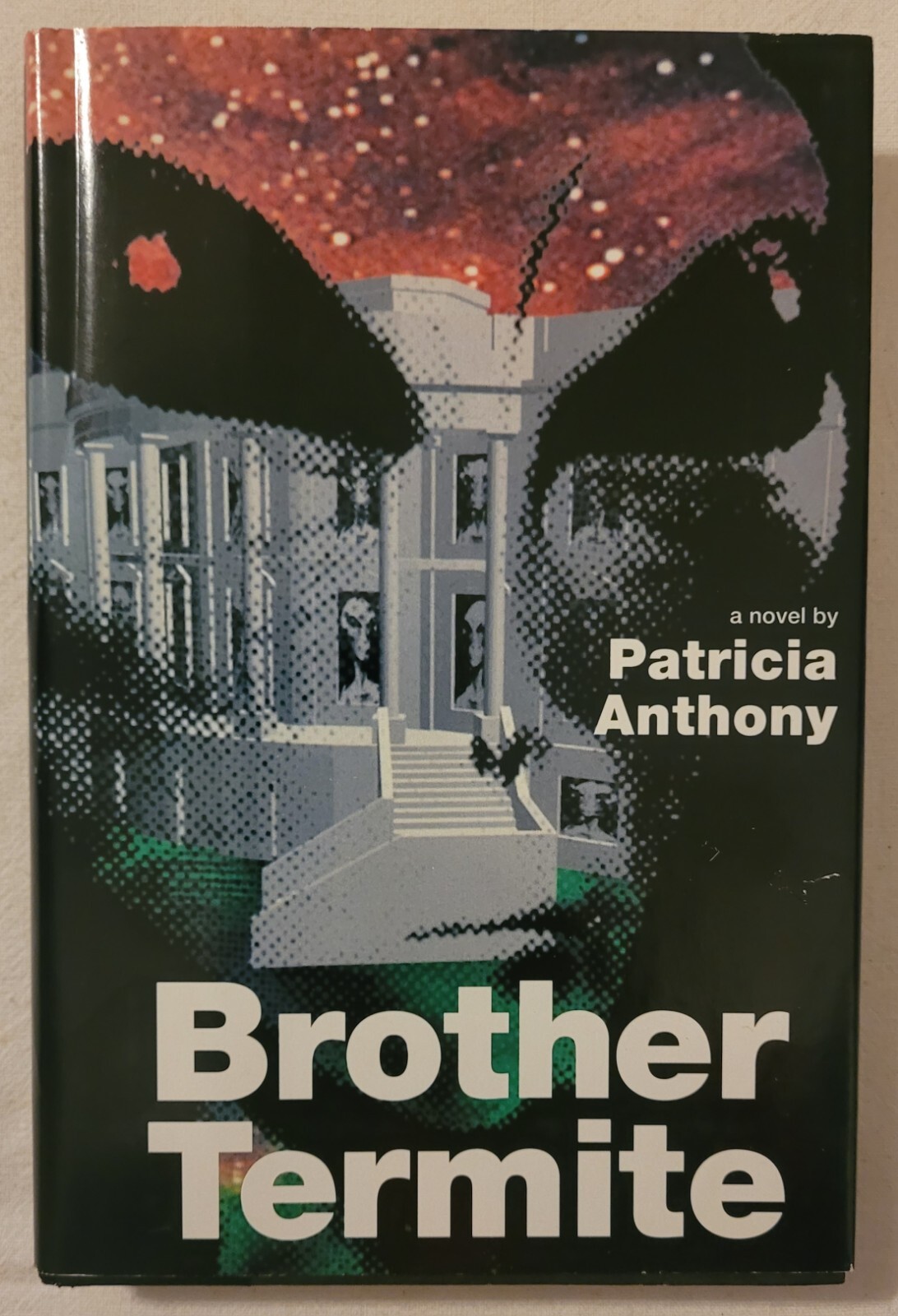 Brother Termite by Patricia Anthony 1993 Hardcover Dust Jacket Vintage
