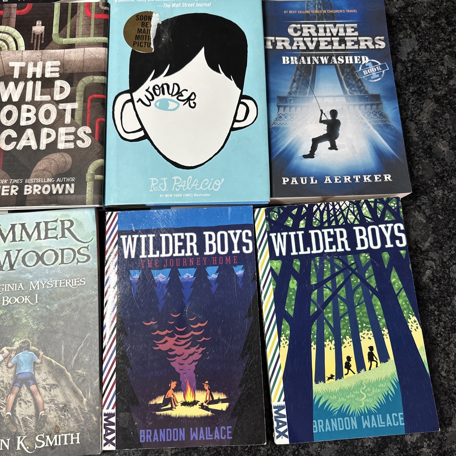Lot of 12 Chapter Books BOYS Youth Early Reader Young Adults Children Adventure
