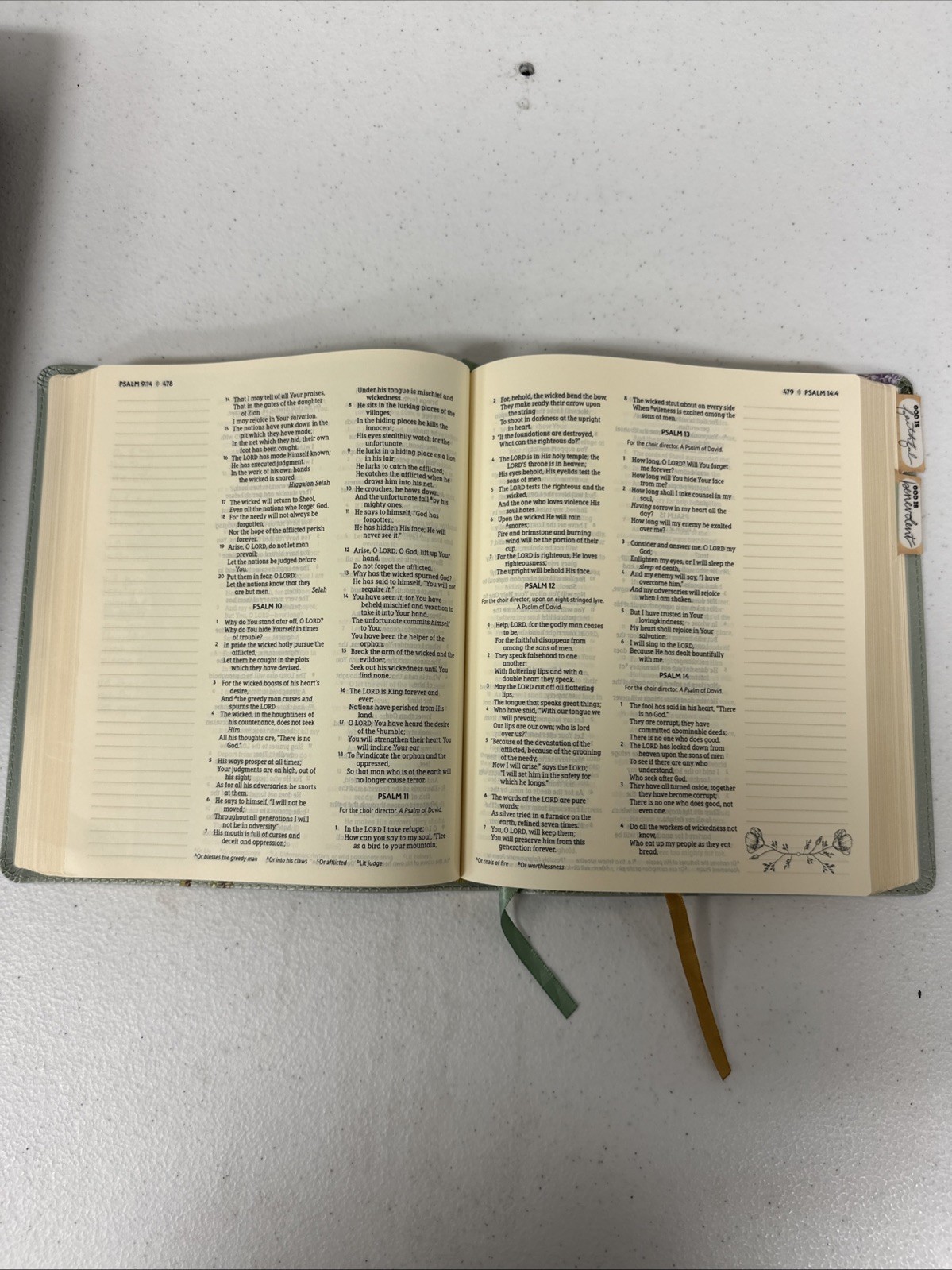 NASB, Artisan Collection Bible, Large Print, Leathersoft, Sage Floral, Red