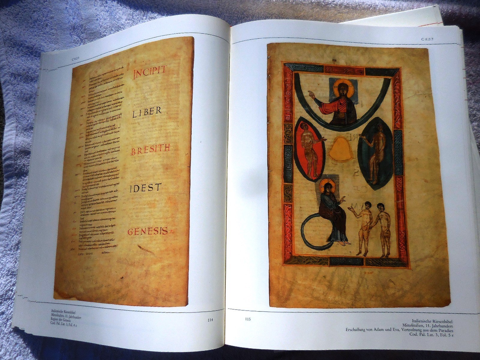 Bibliotheca Palatina Heidelberg EXHIBITION CATALOG 1985 Illuminated Manuscripts