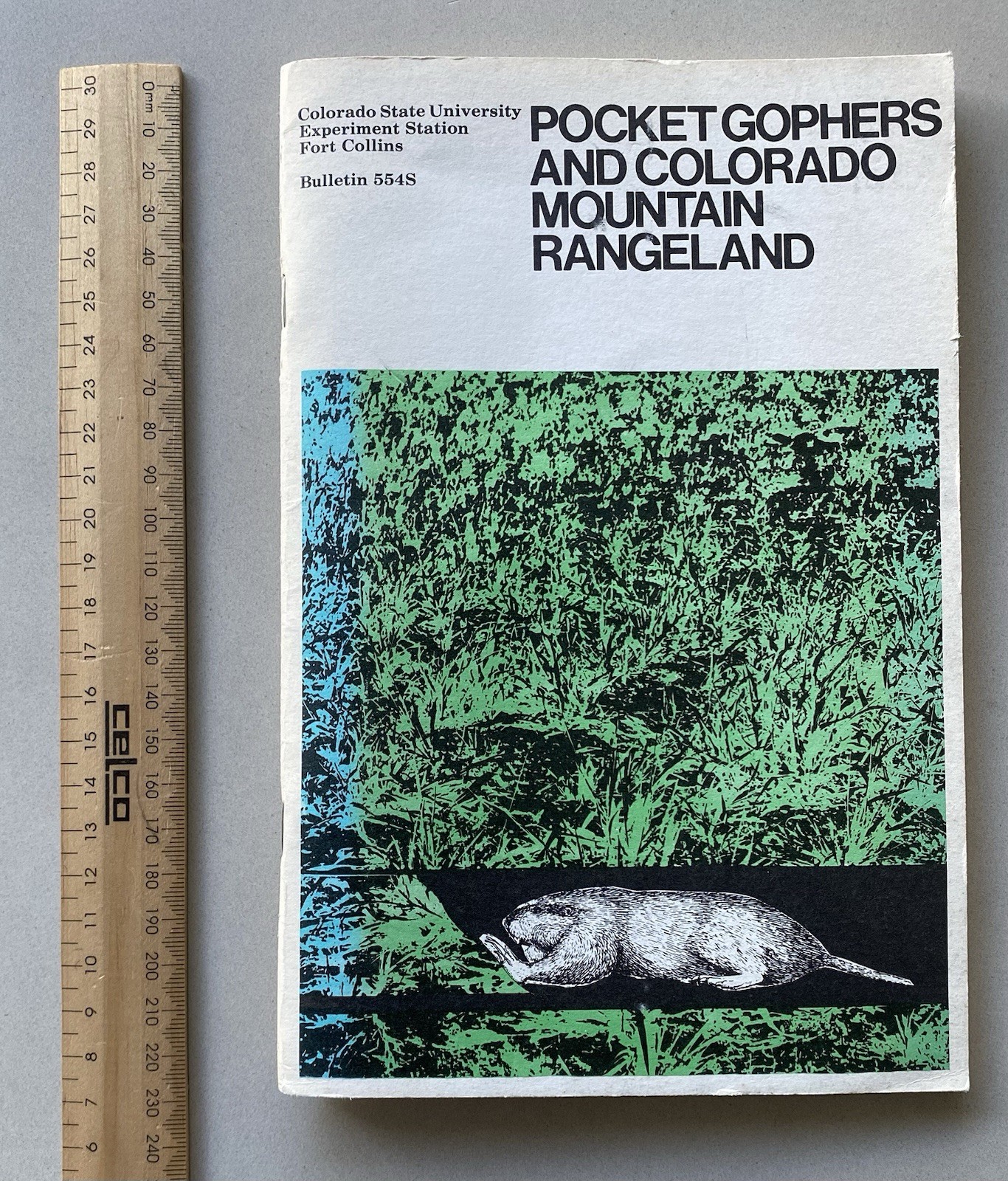 Pocket Gophers & Colorado Mountain Rangeland (1973 PB) University Bulletin 554S
