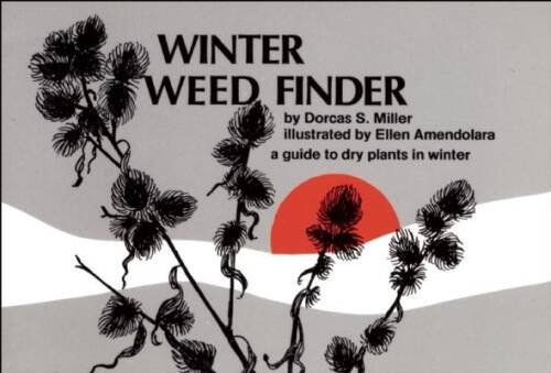Winter Weed Finder: A Guide to Dry Plants in Winter (Nature Study Guides) – GOOD