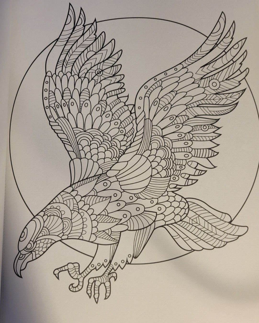 MAGNIFICENT CREATURES Vol 20 – Adult Coloring Book by TOPIX MEDIA – 47 PRINTS