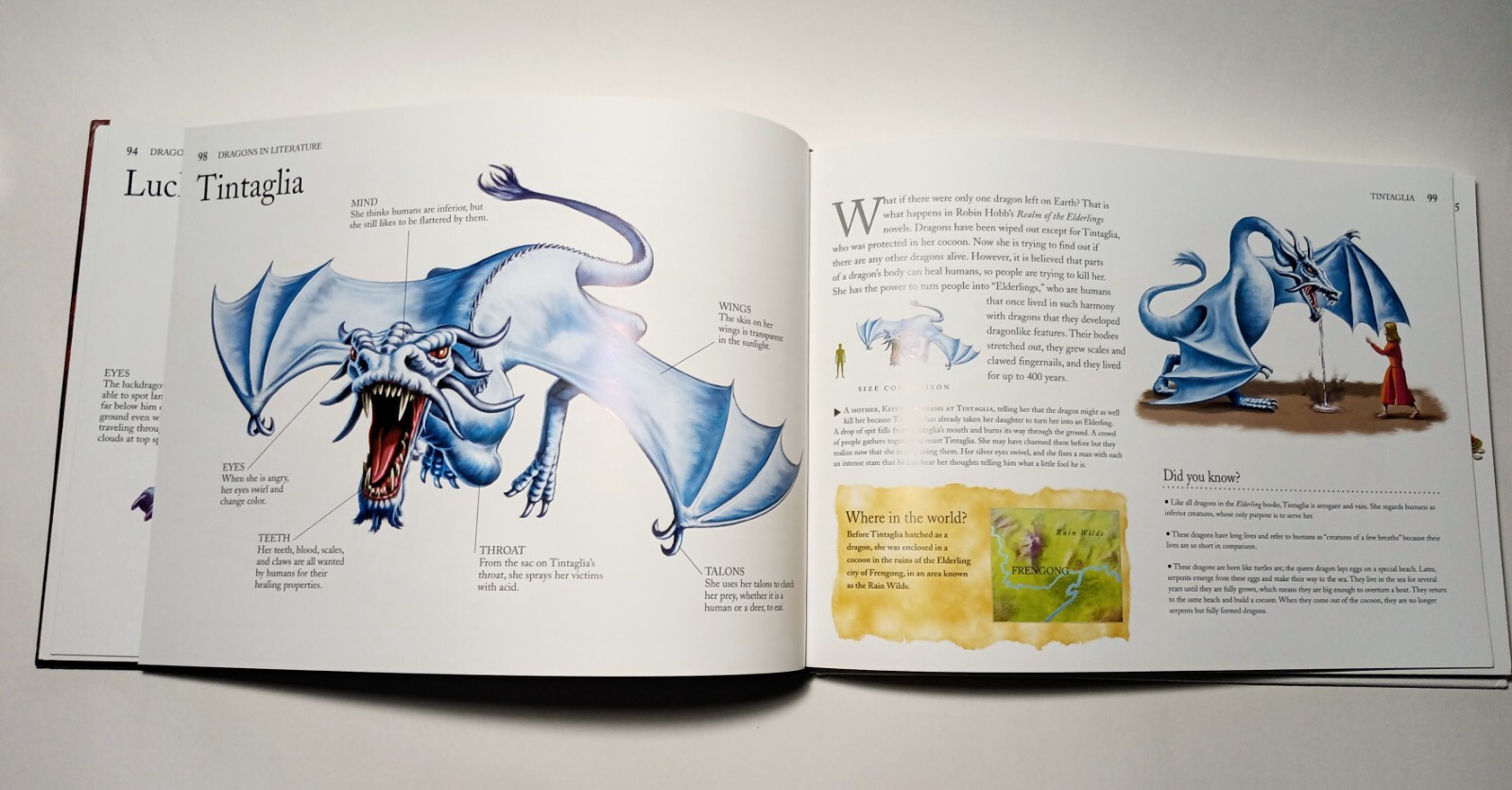 Dragons & Mythical Creatures by Gerrie McCall & Chris McNab – Illustrated HC2020