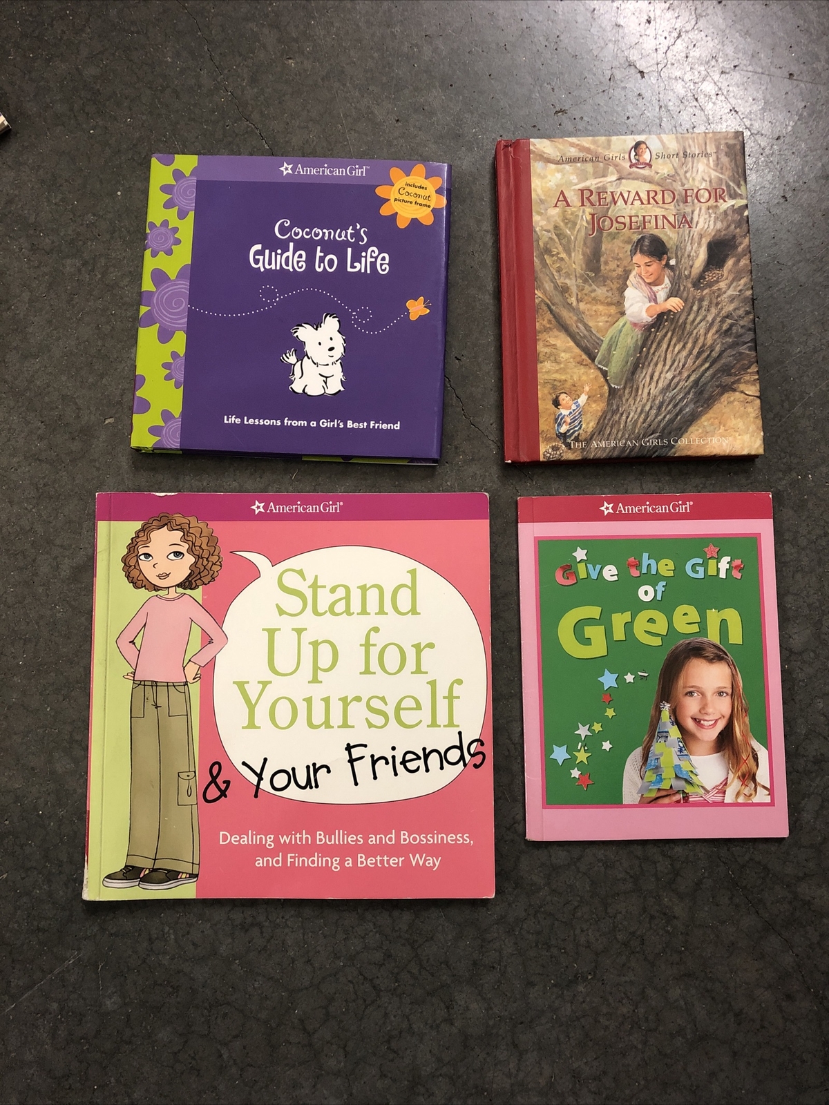 American Girl Book Lot of 17 Felicity Pleasant Company