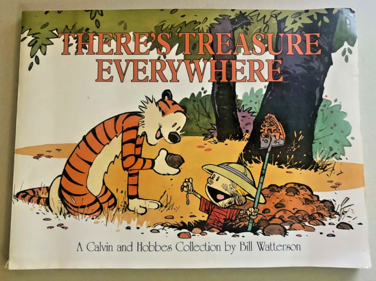 Calvin and Hobbes There’s Treasure Everywhere TP 1st print Bill Watterson